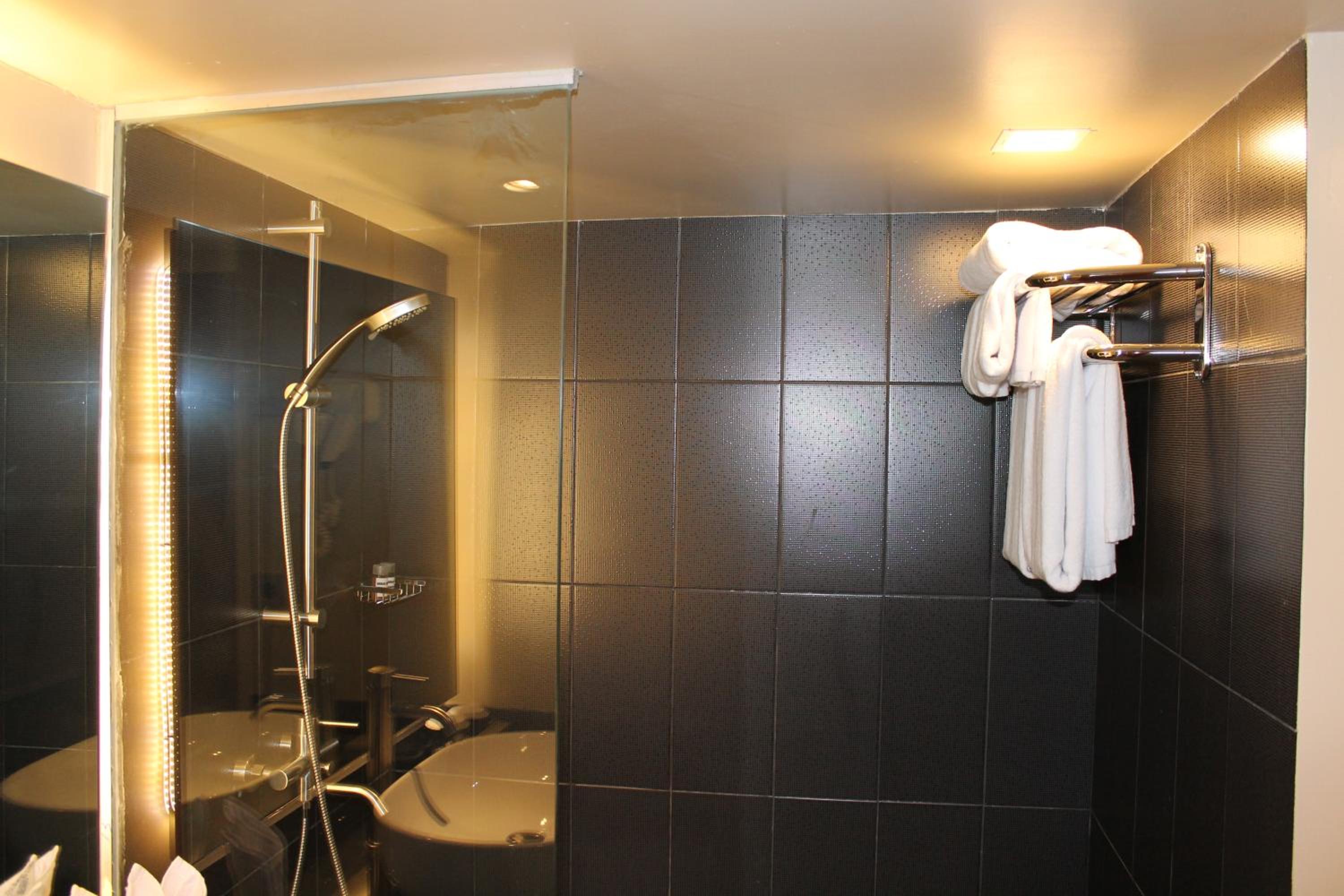 Deluxe Plus Double or Twin Room - Photo 3