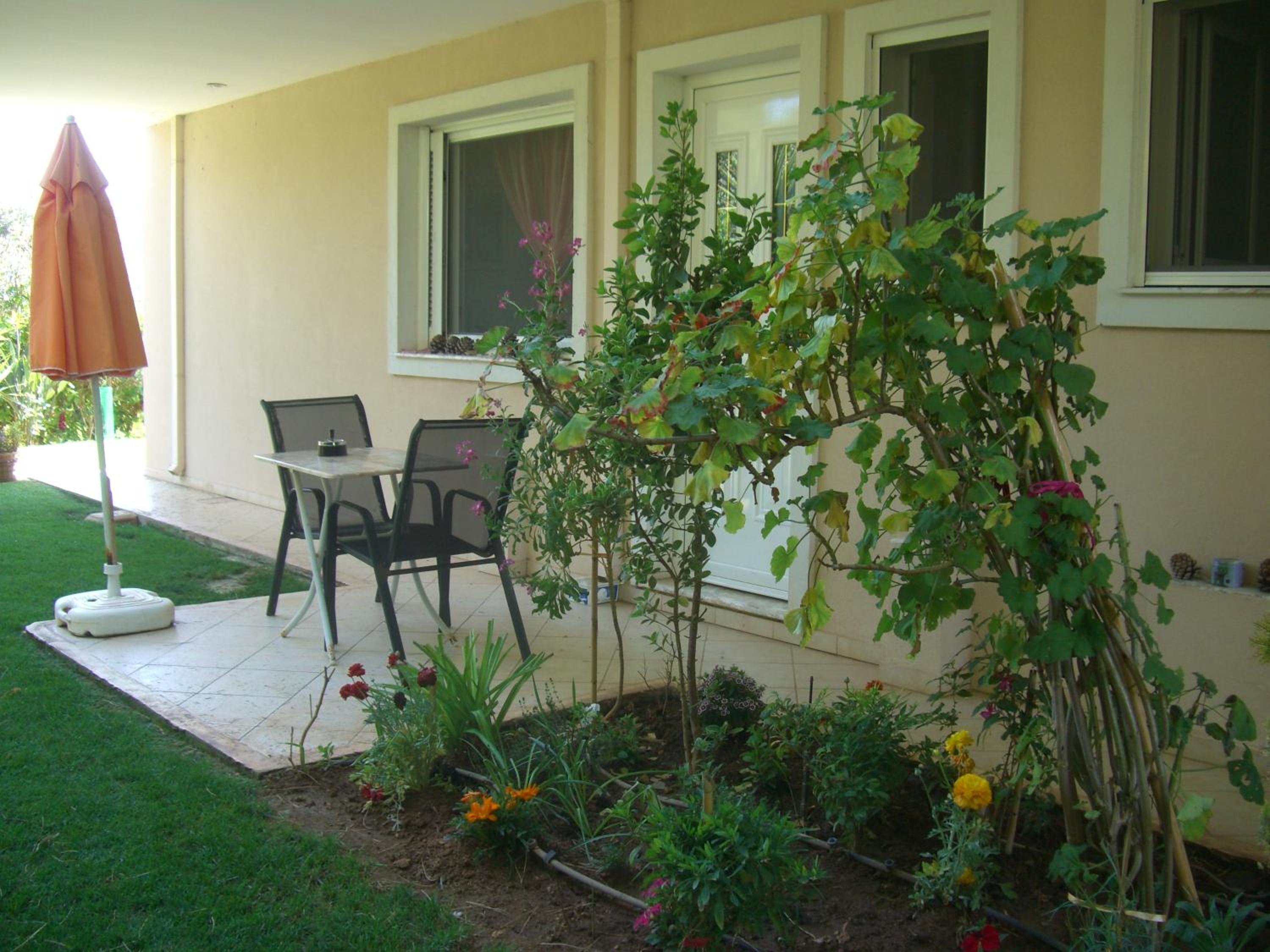 Studio with Terrace photo 2