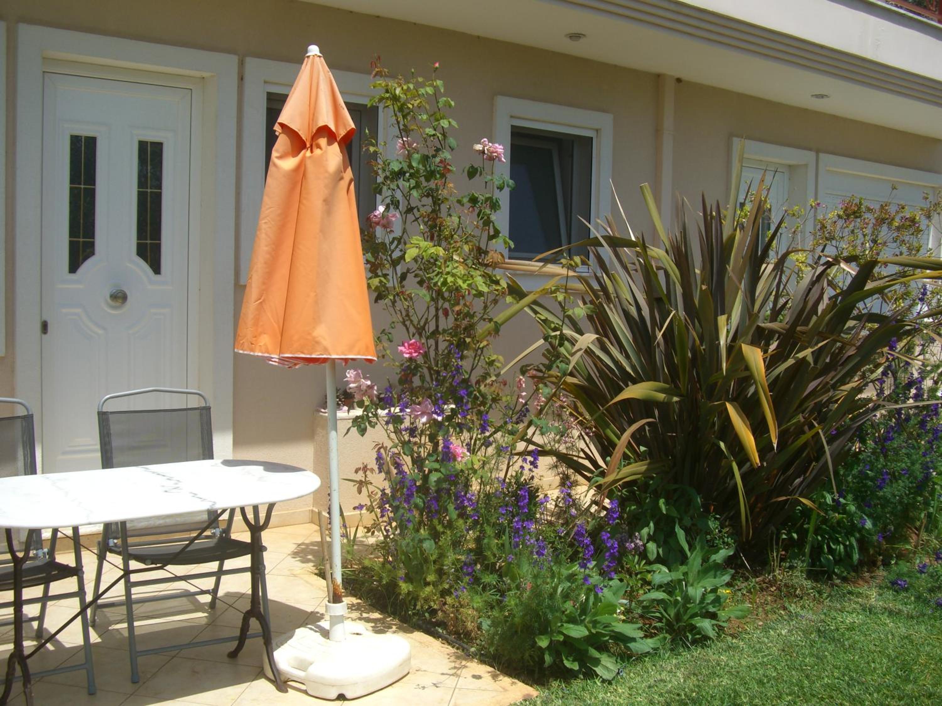 Studio with Terrace photo 1