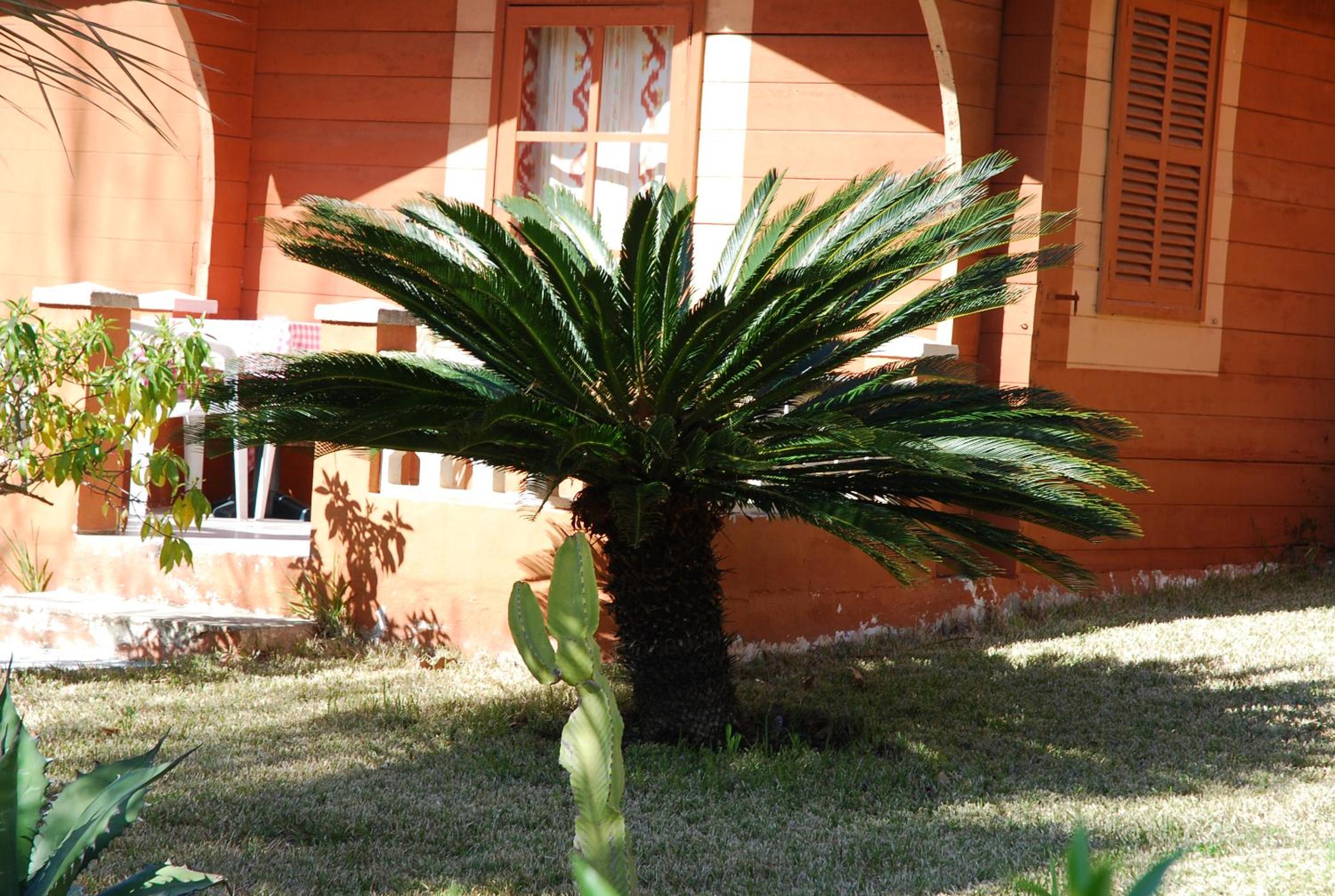 Bungalow Single photo 2