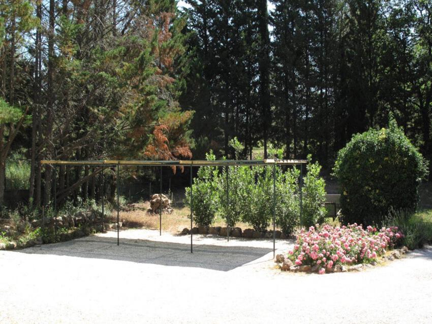 Apartment with Garden View photo 3