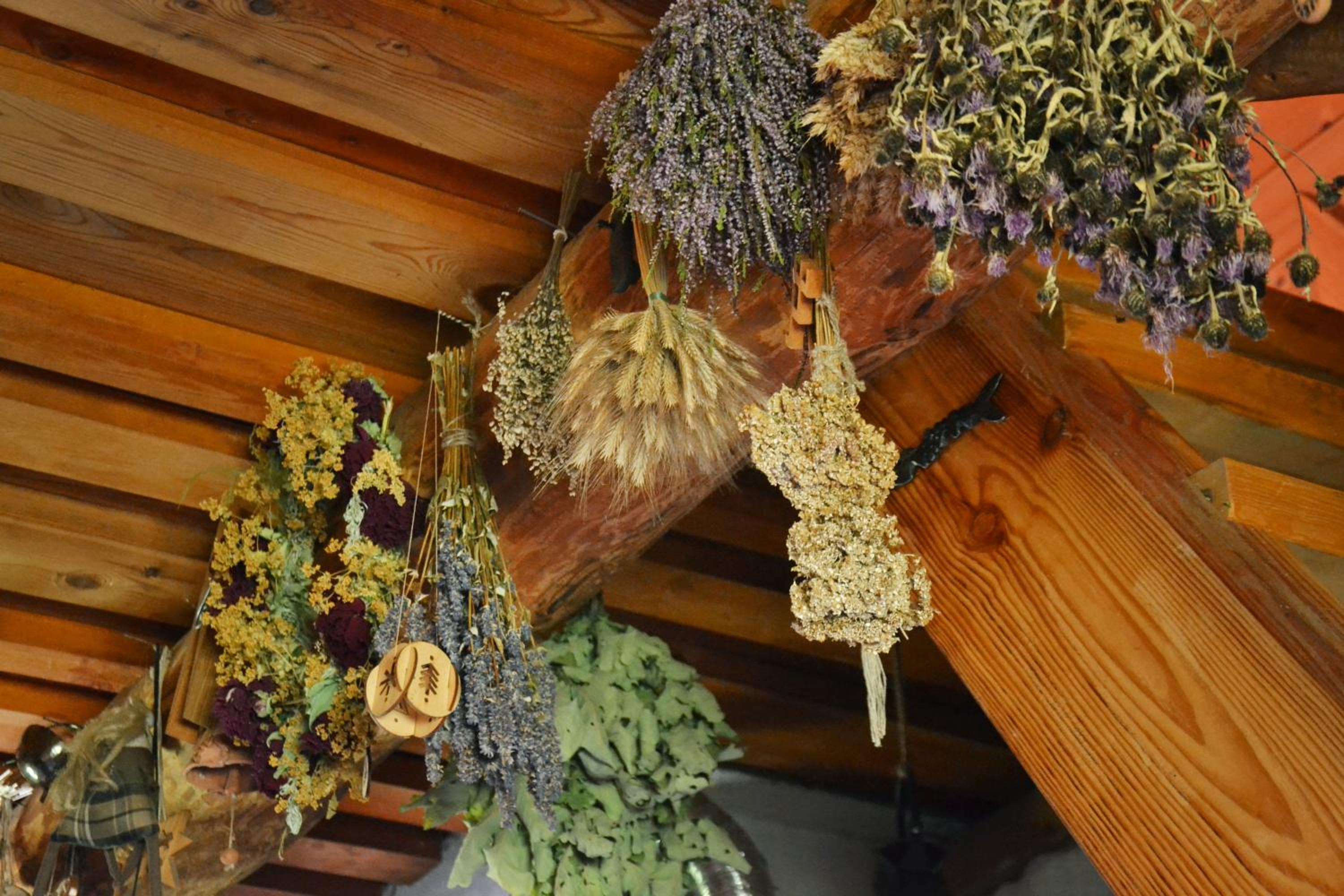 Vacation Home - Photo 2