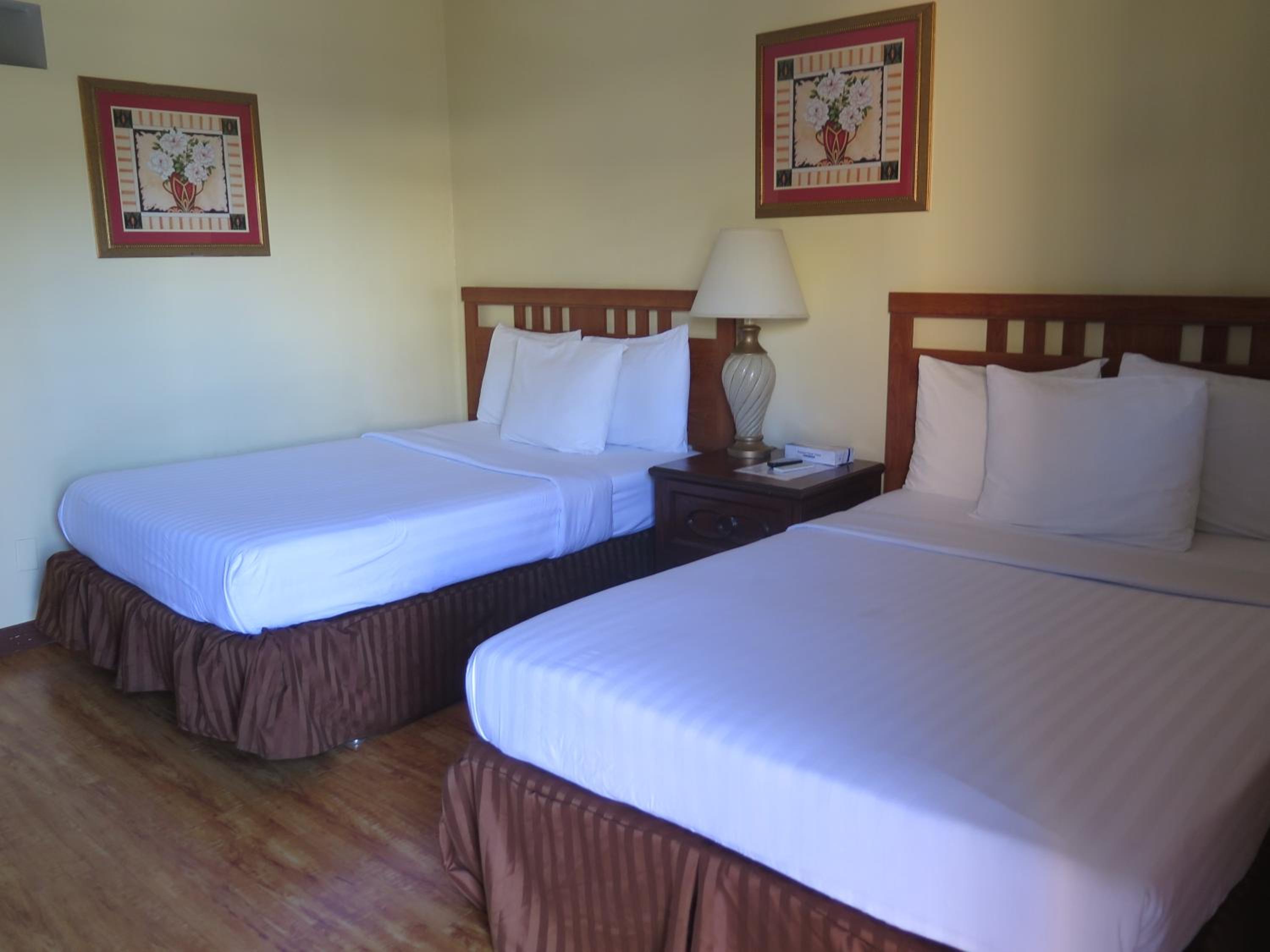 Double Room With Two Double Beds