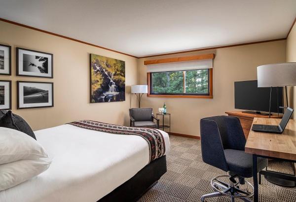 Premier King Room - Photo 3