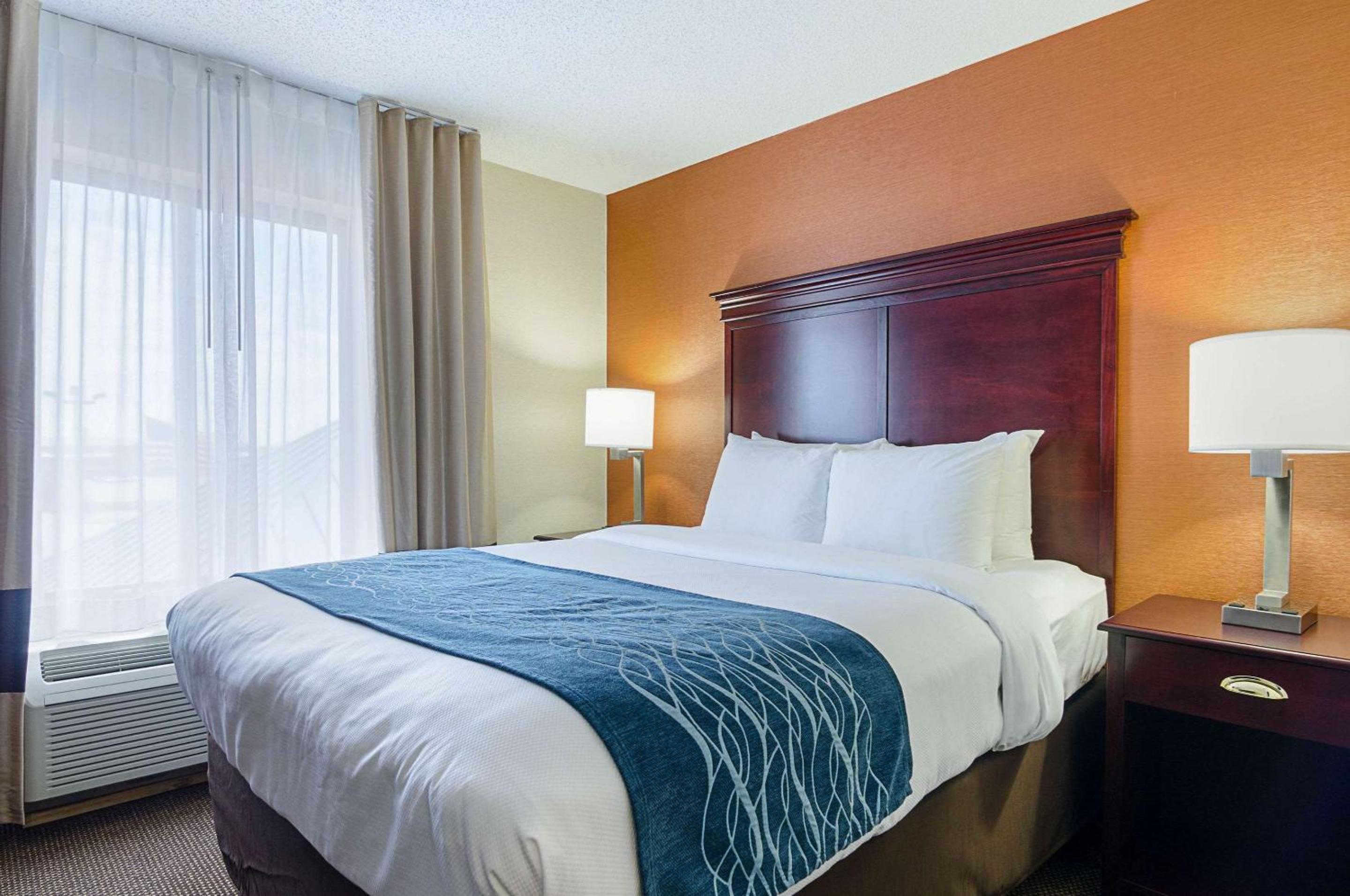 Executive Queen Suite with Sofa Bed - Non-Smoking - Photo 1