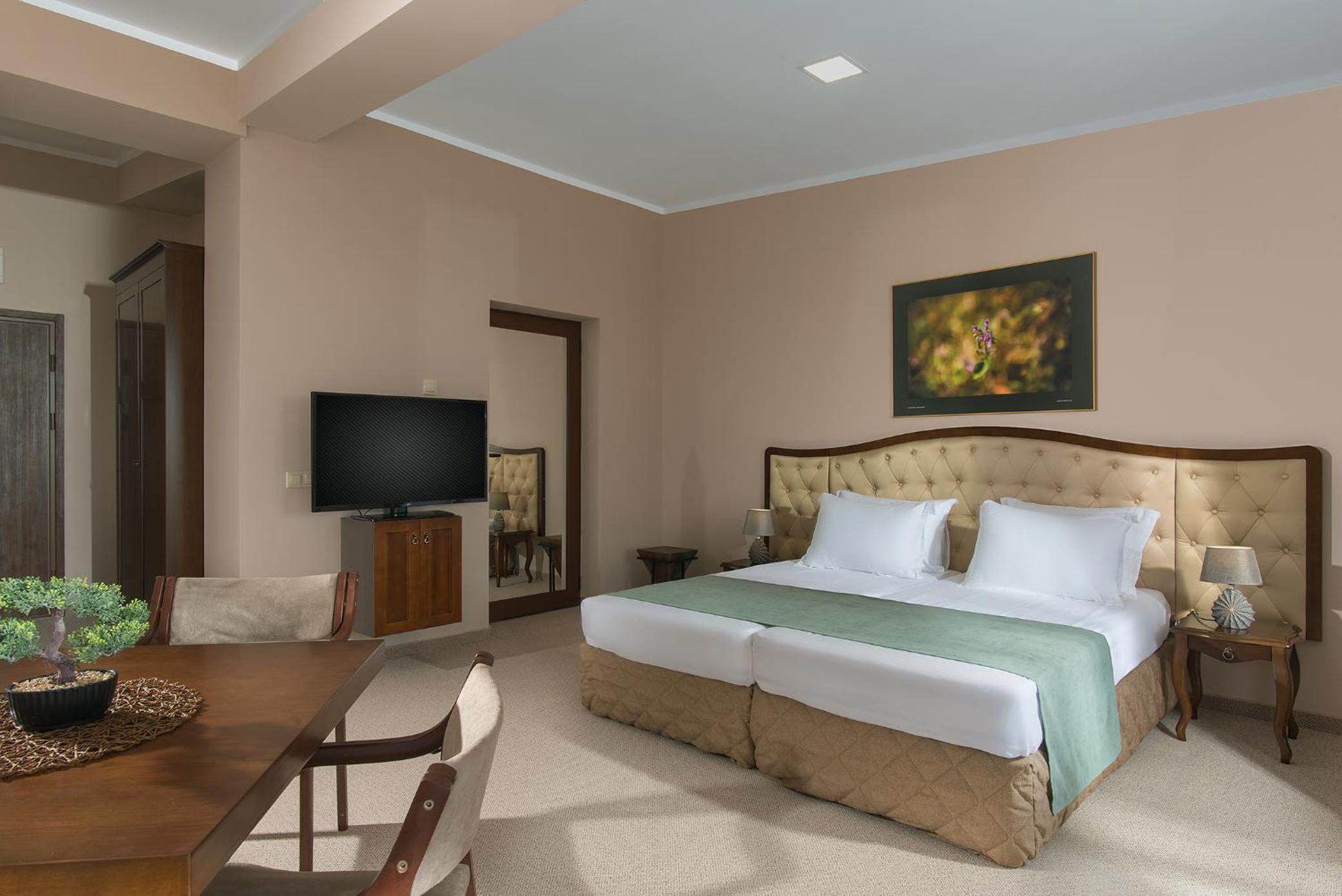 Deluxe Double or Twin Room - Photo 2
