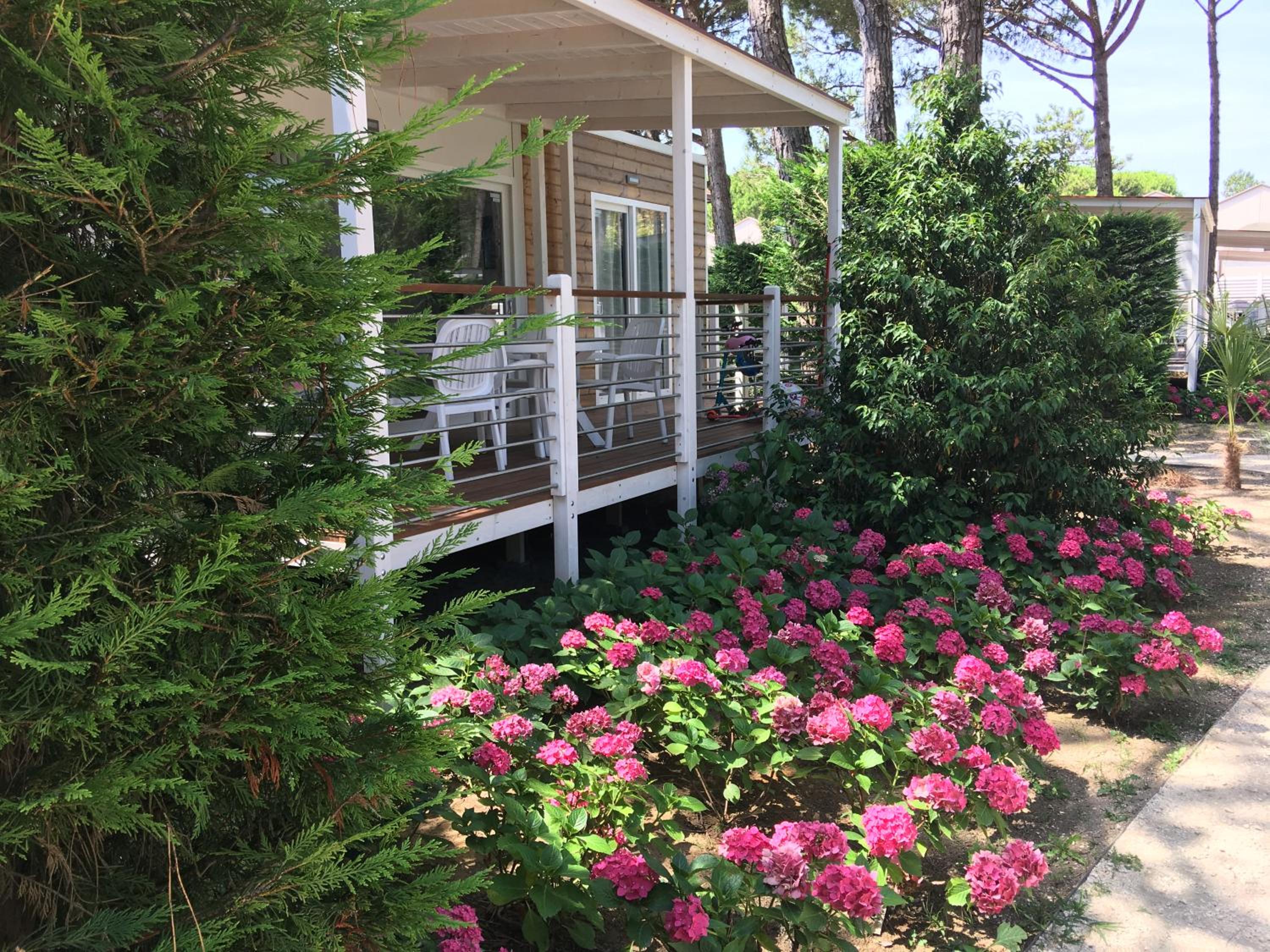 Three-Bedroom Chalet photo 3