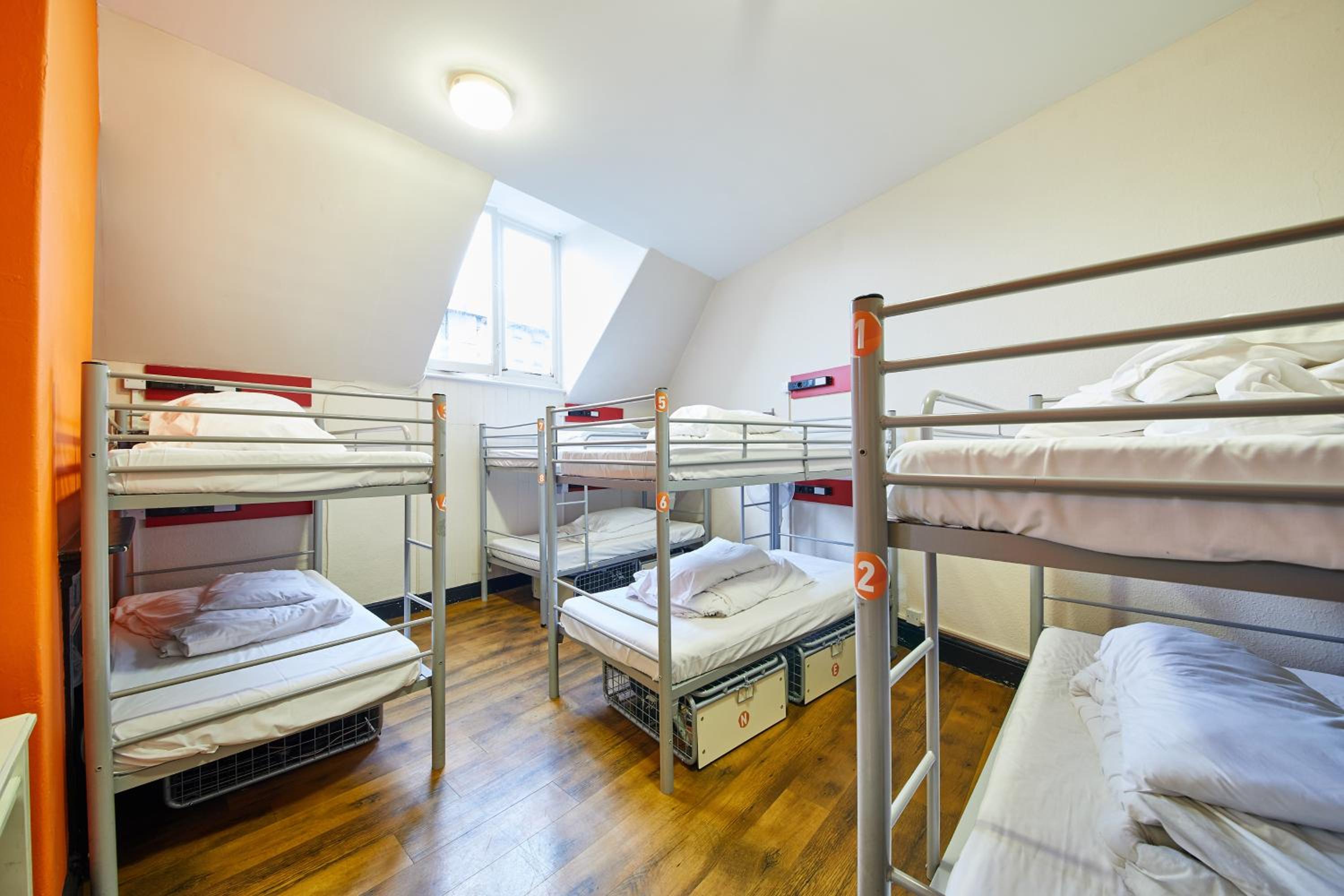 8-Bed Mixed Dormitory Room