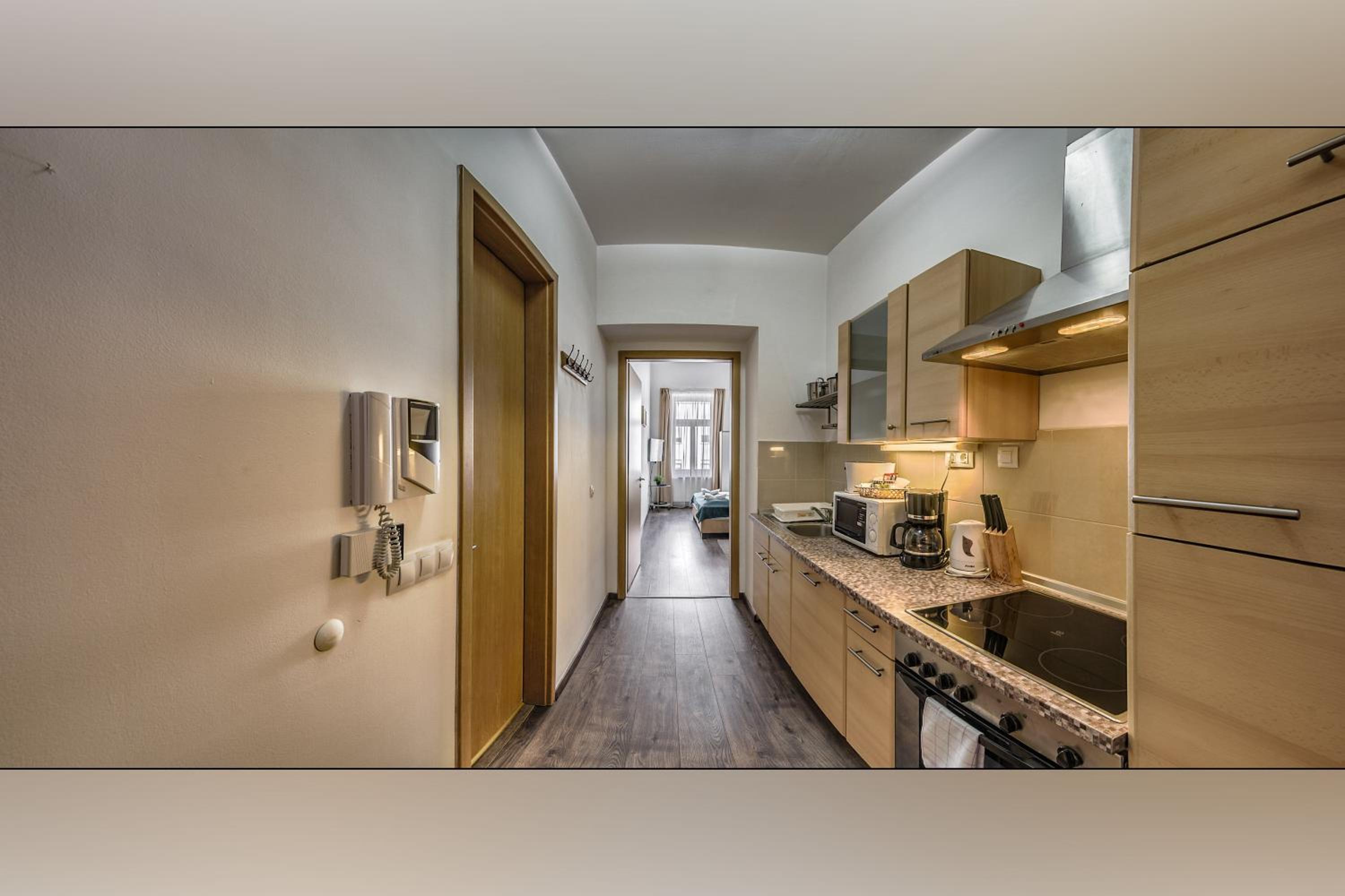 Deluxe Studio (3 Adults) - Photo 8