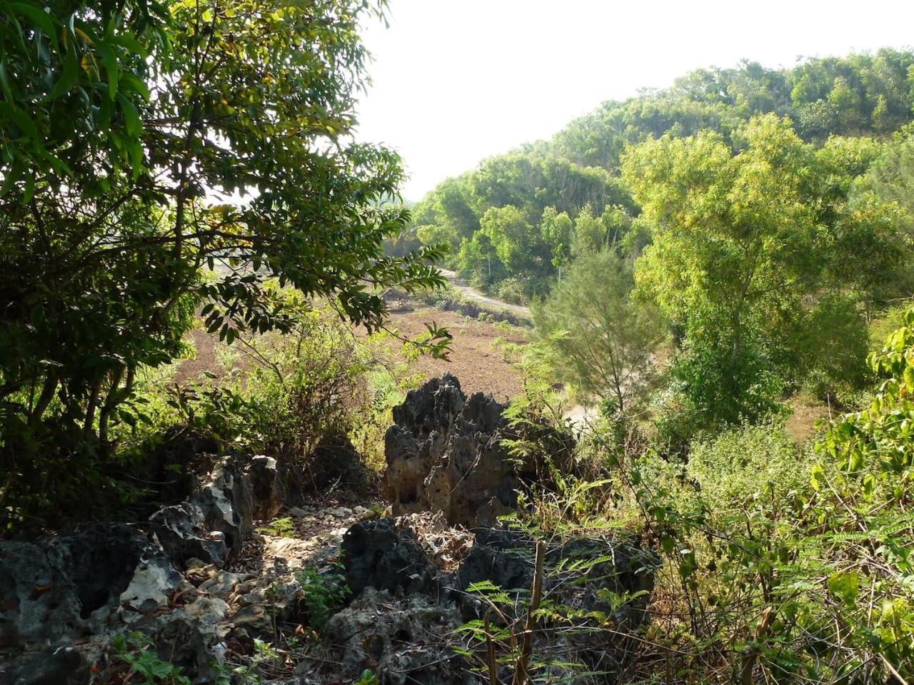 Villa with Sea View - Photo 33
