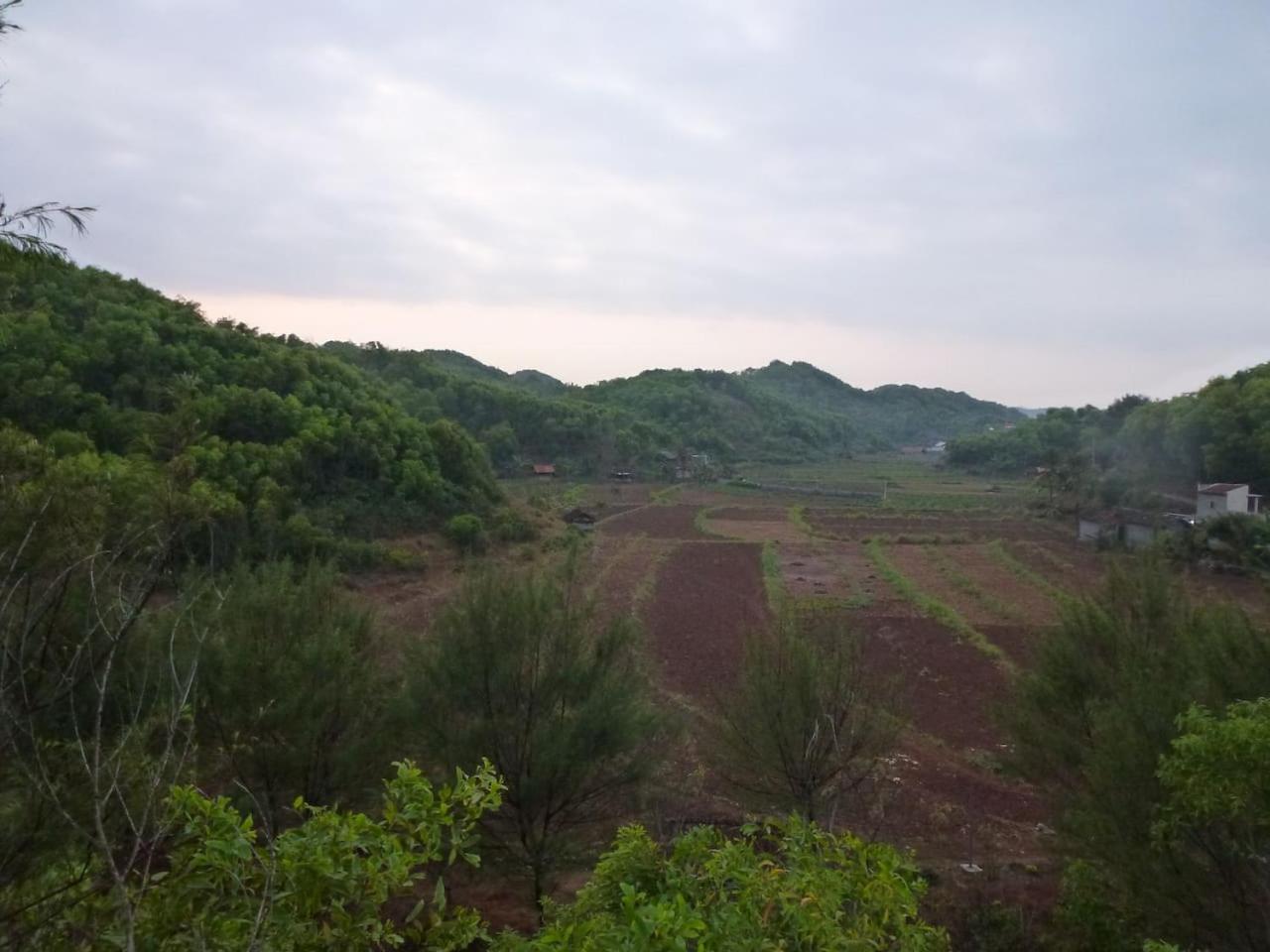 Villa with Sea View - Photo 23