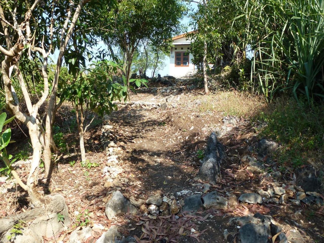 Villa with Sea View - Photo 17