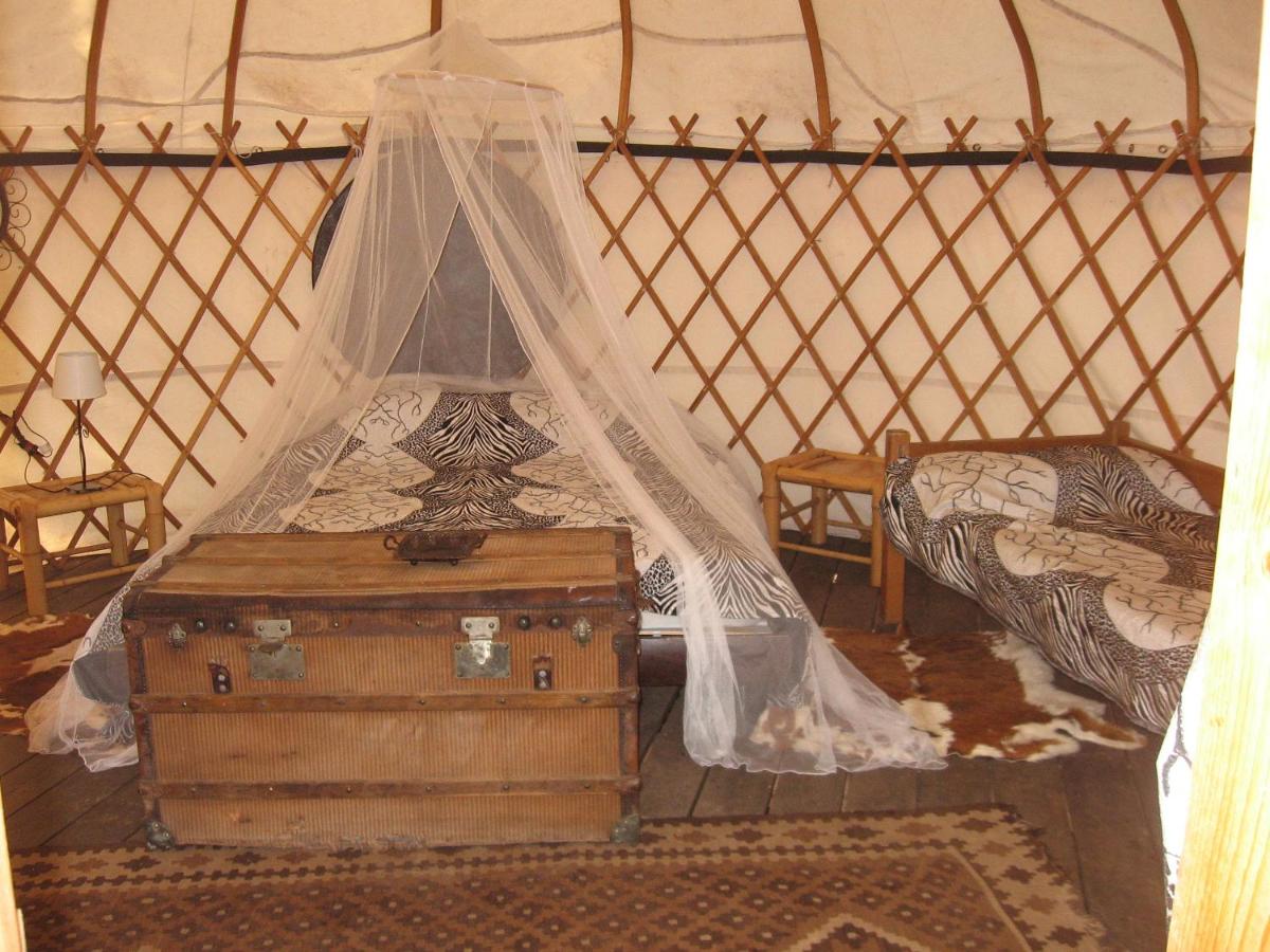 Yurt (2 Adults + 2 Children) photo 3