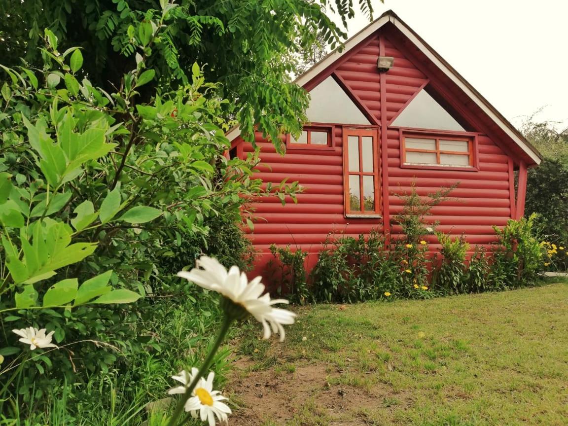 Bungalow photo 3