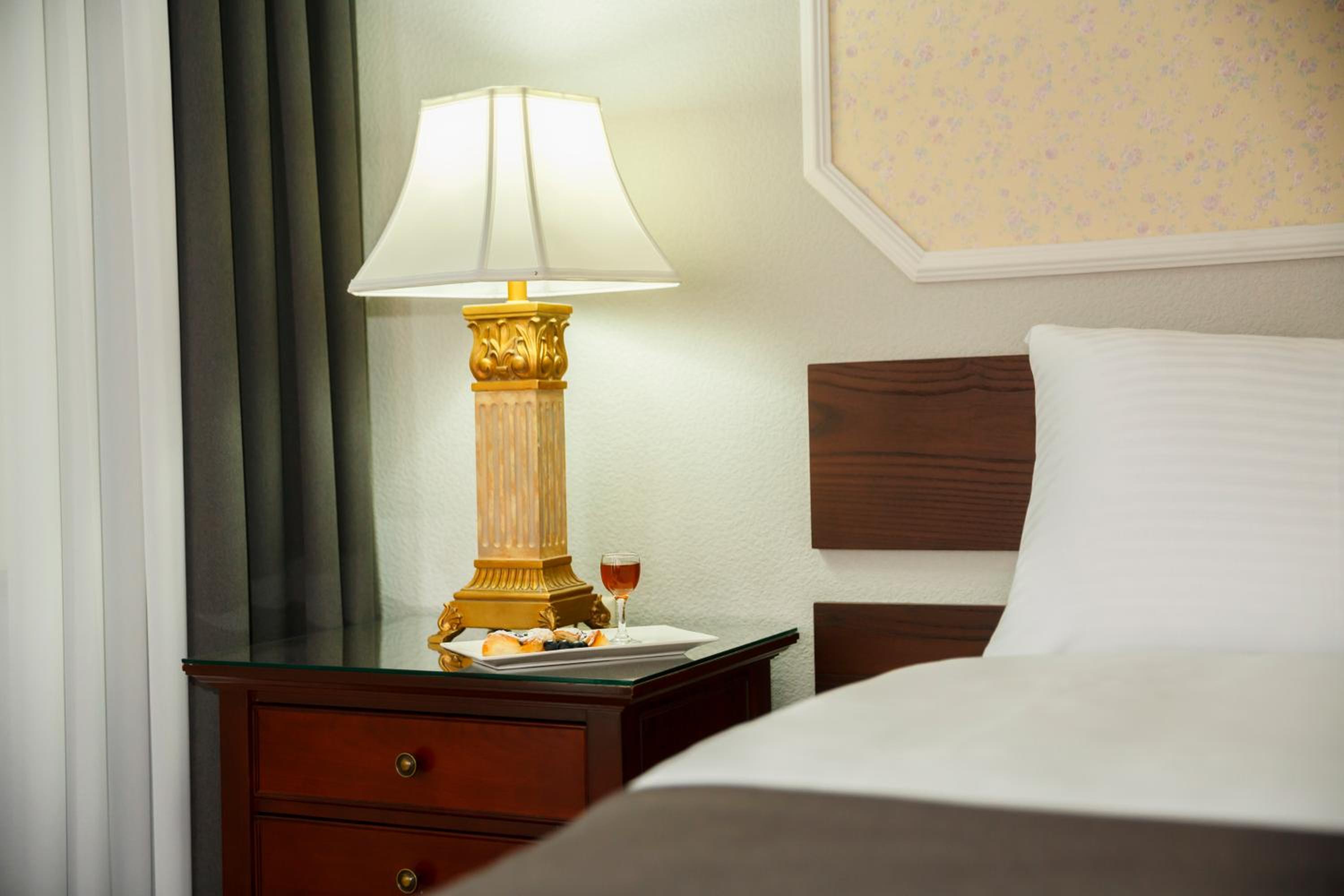 Deluxe Double Room photo 3
