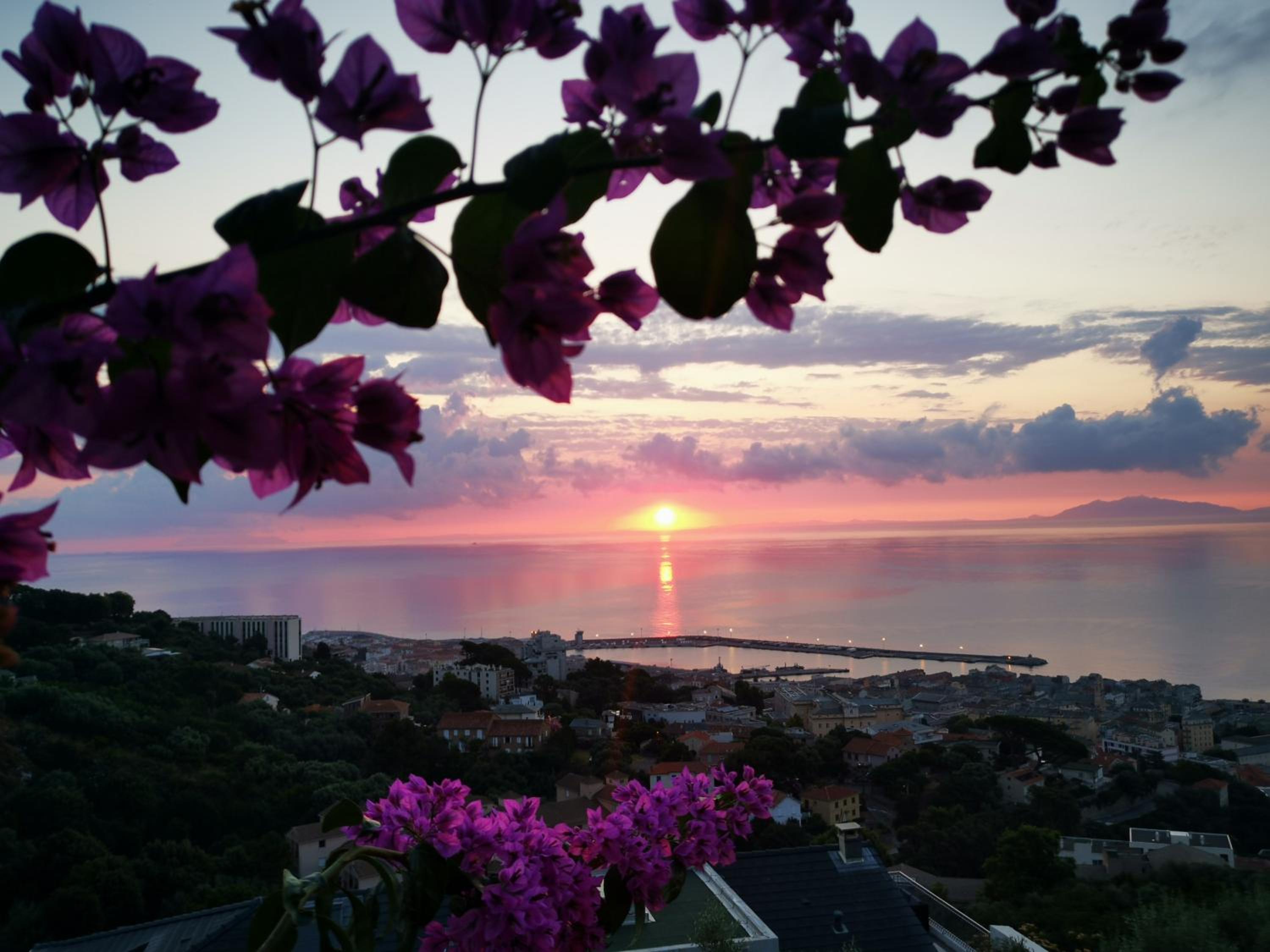 Double Room with Balcony and Sea View photo 3