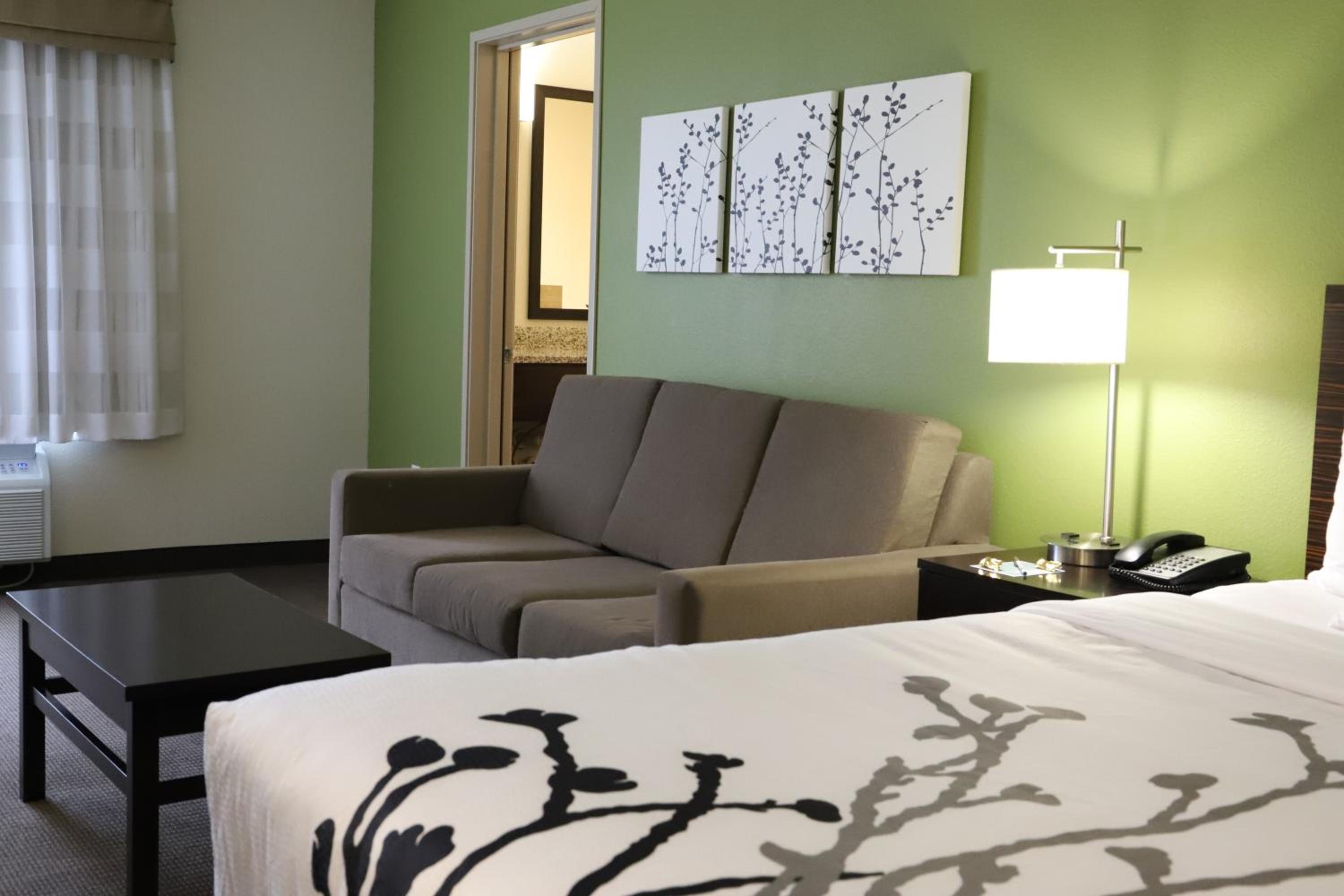 King Room with Sofa Bed - Non-Smoking photo 3