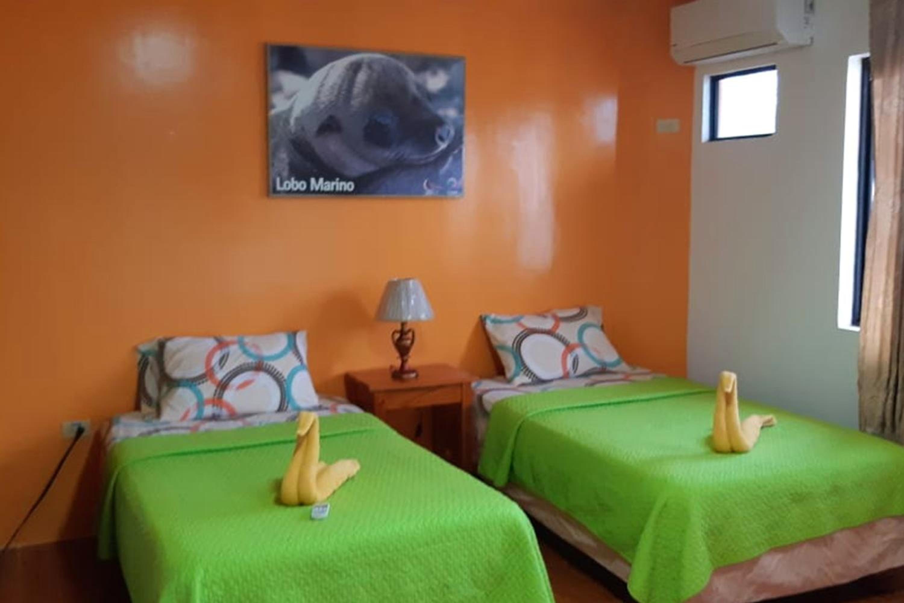 Twin Room photo 1