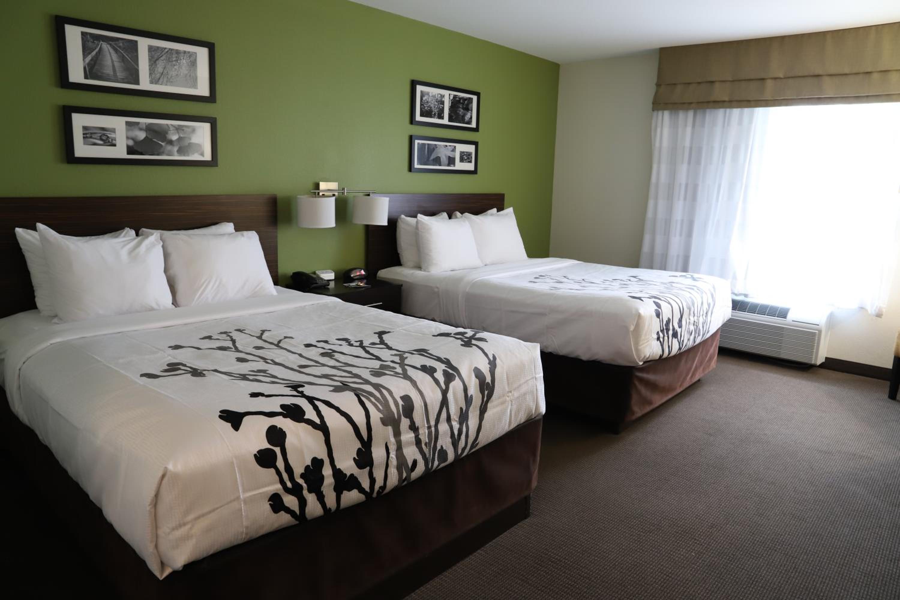 Queen Room with Two Queen Beds - Non-Smoking photo 1