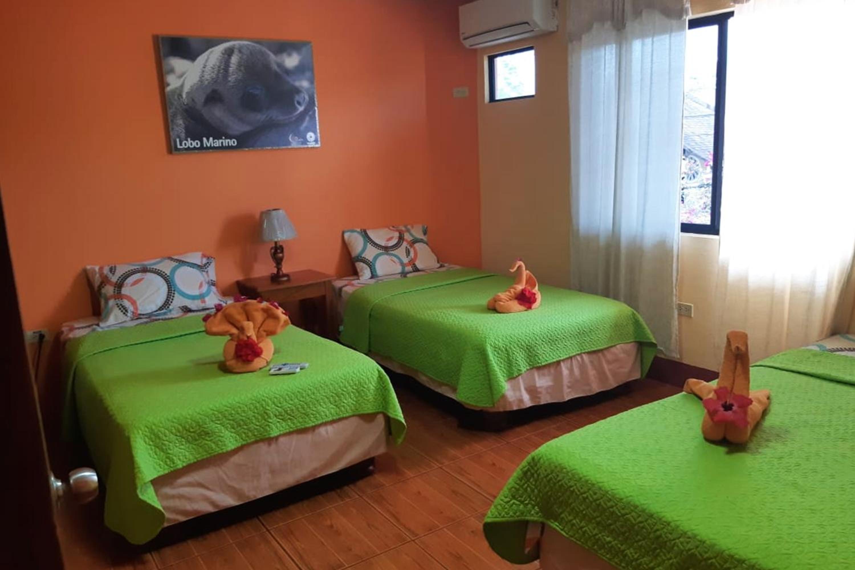 Triple Room photo 1