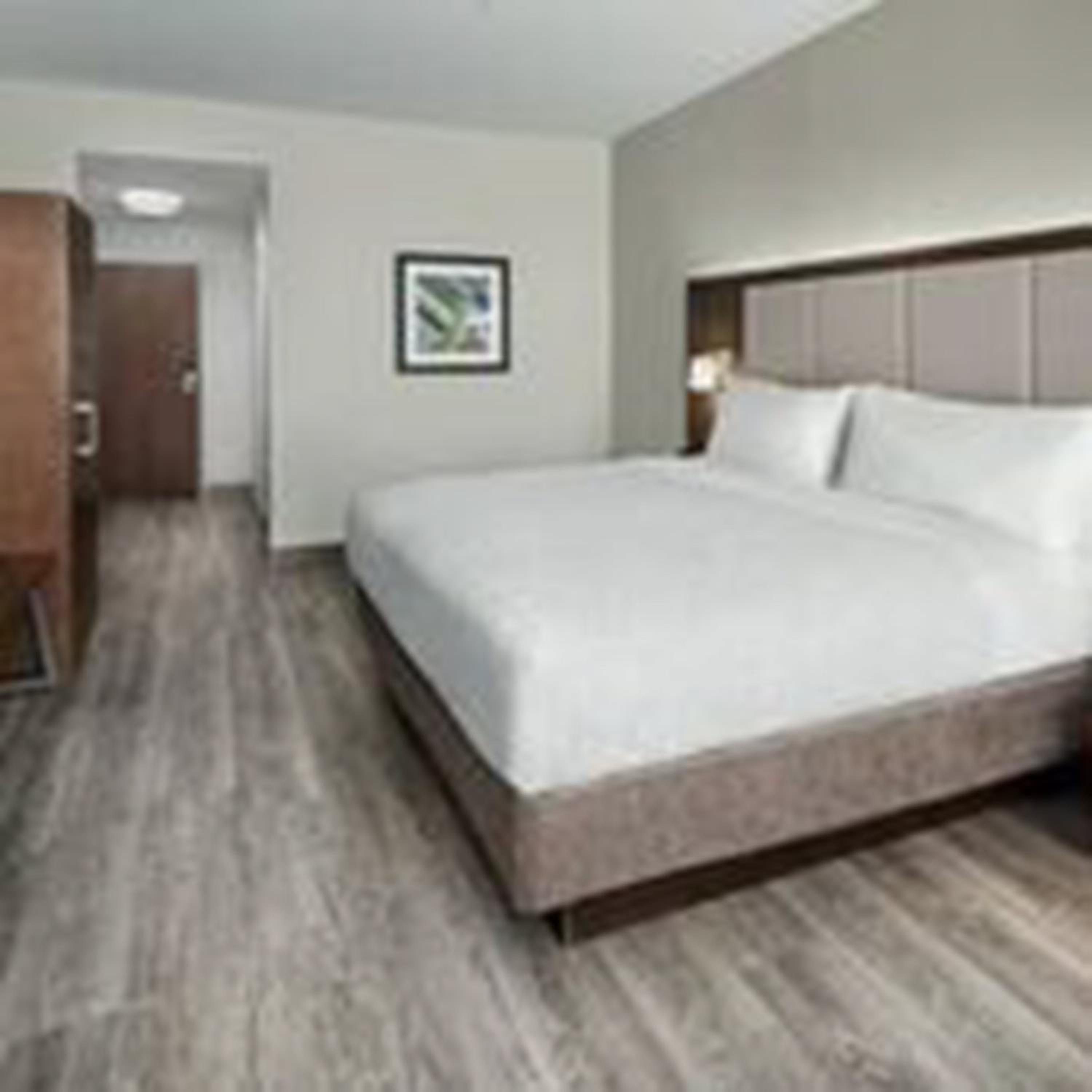 King Suite - Photo 16