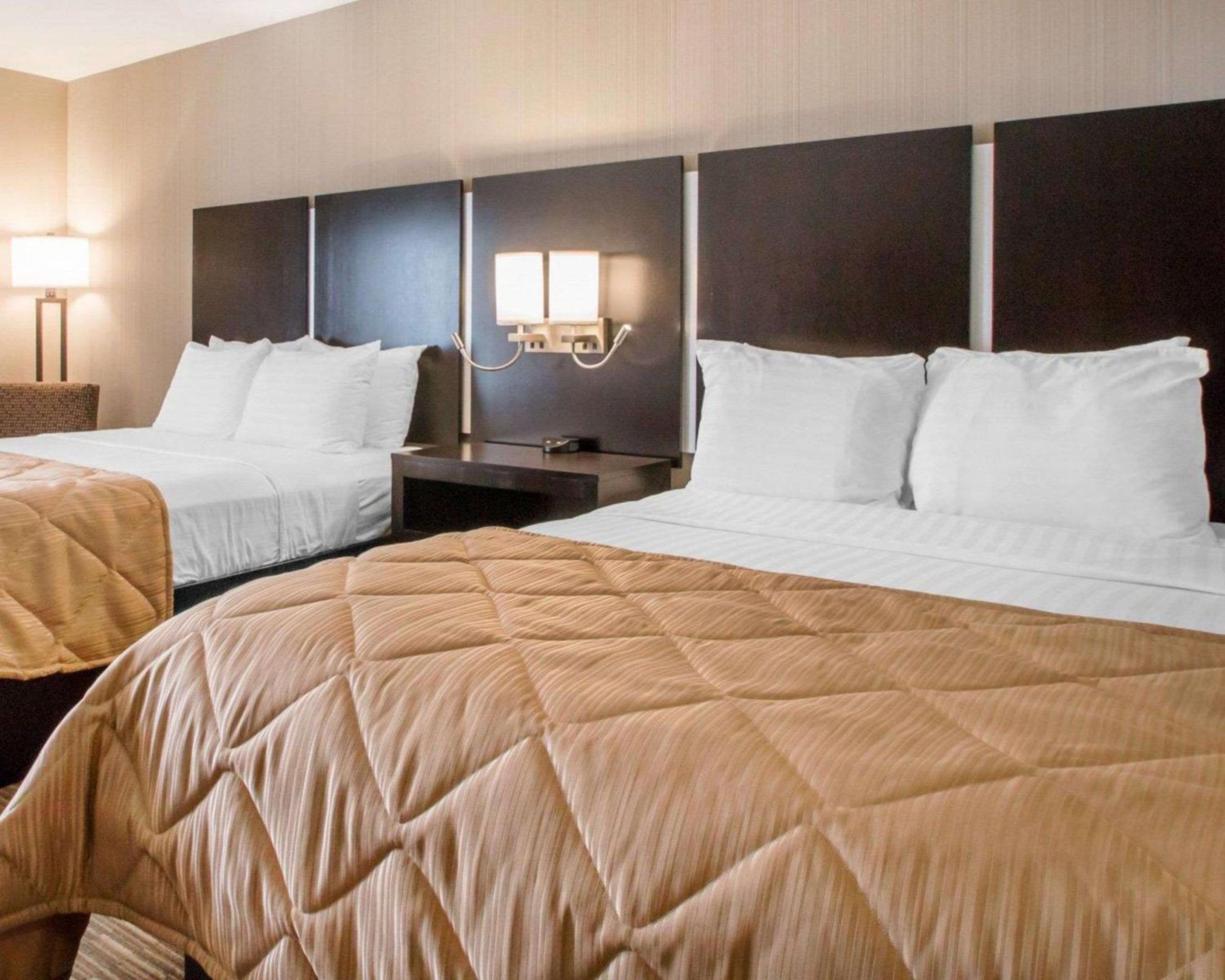 Standard Queen Room with Two Queen Beds