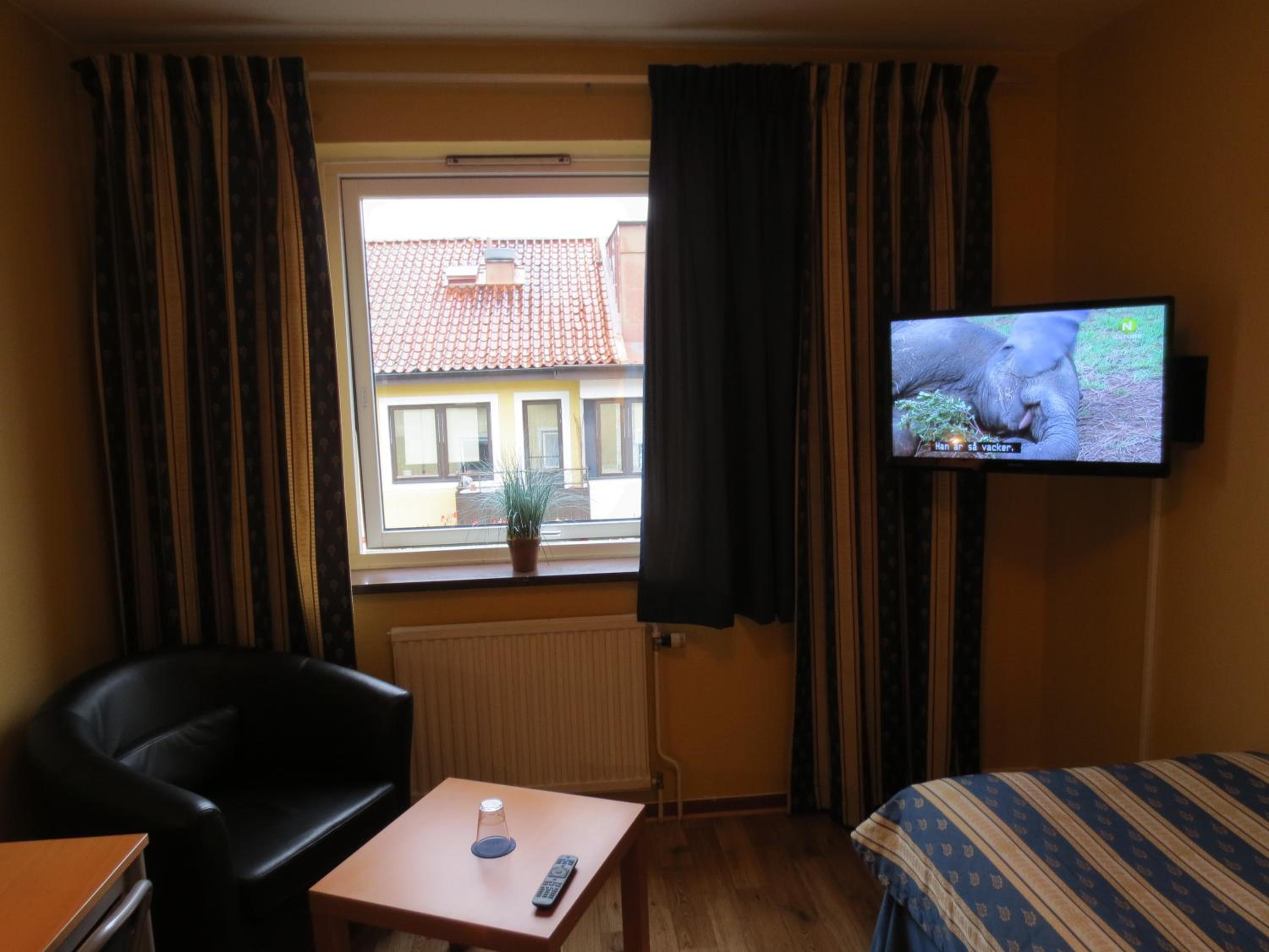 Single Room photo 2