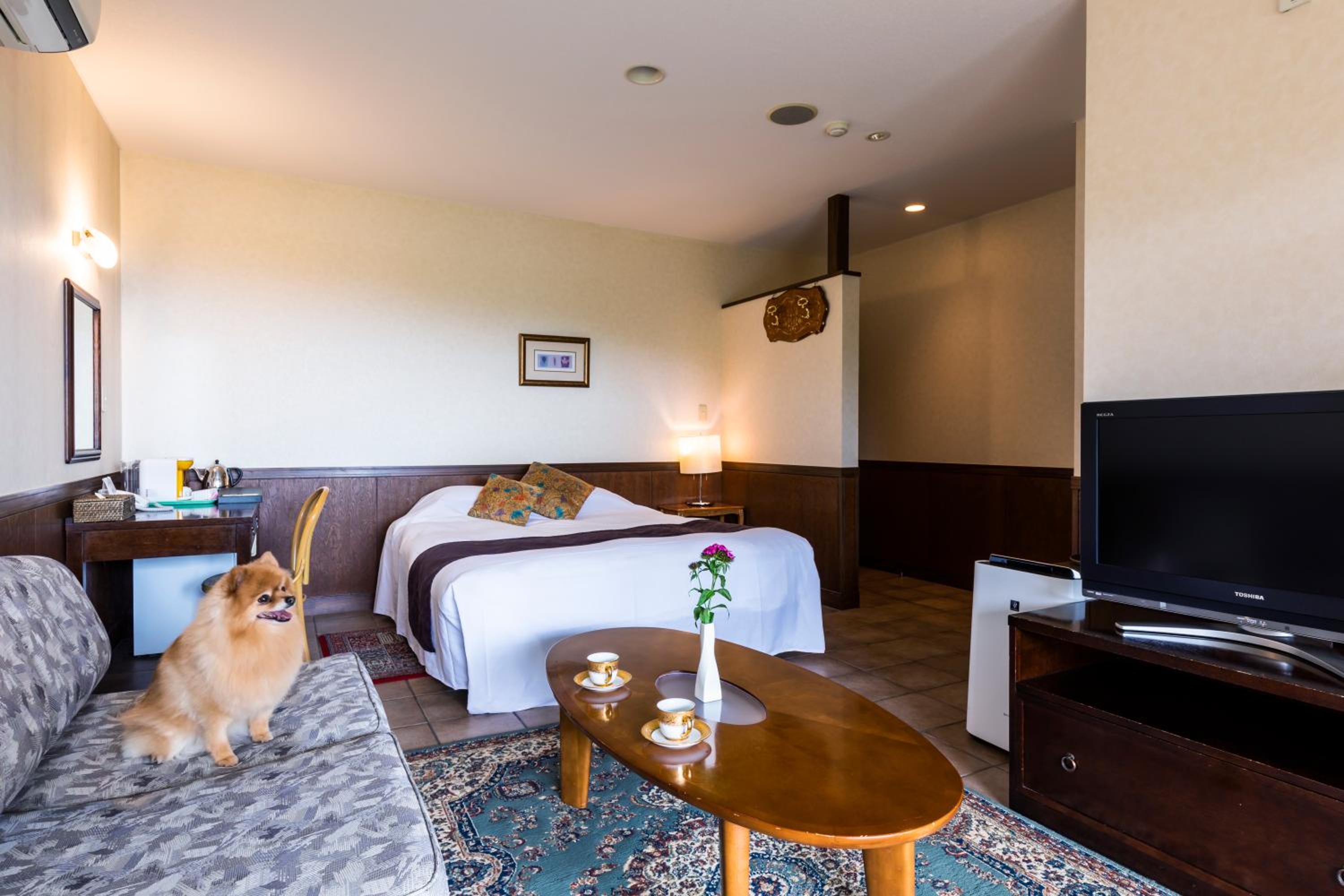 Double Room with Terrace