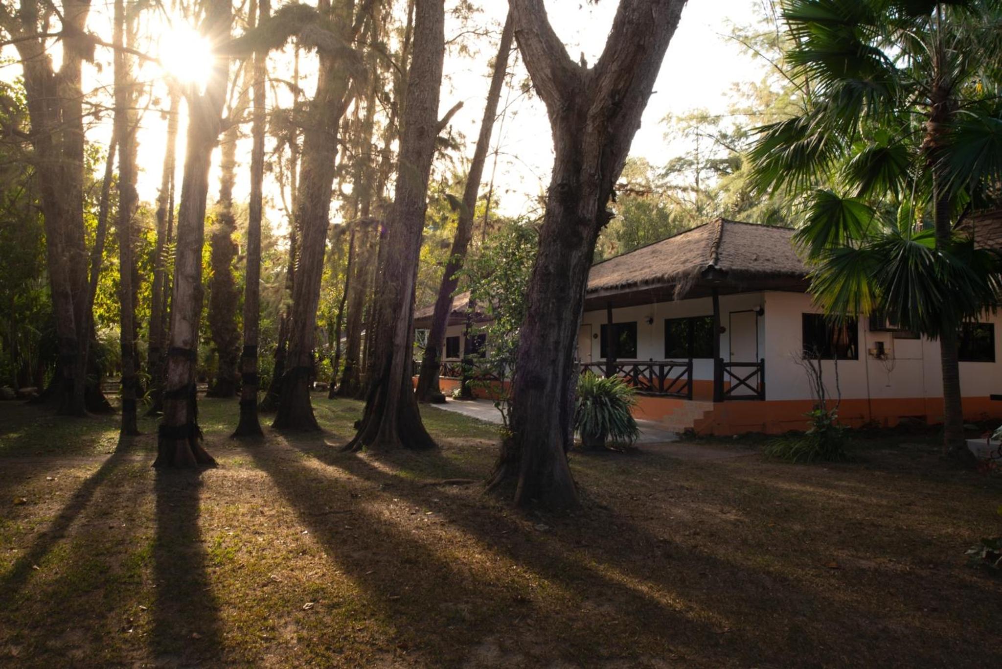 Deluxe Bungalow photo 3