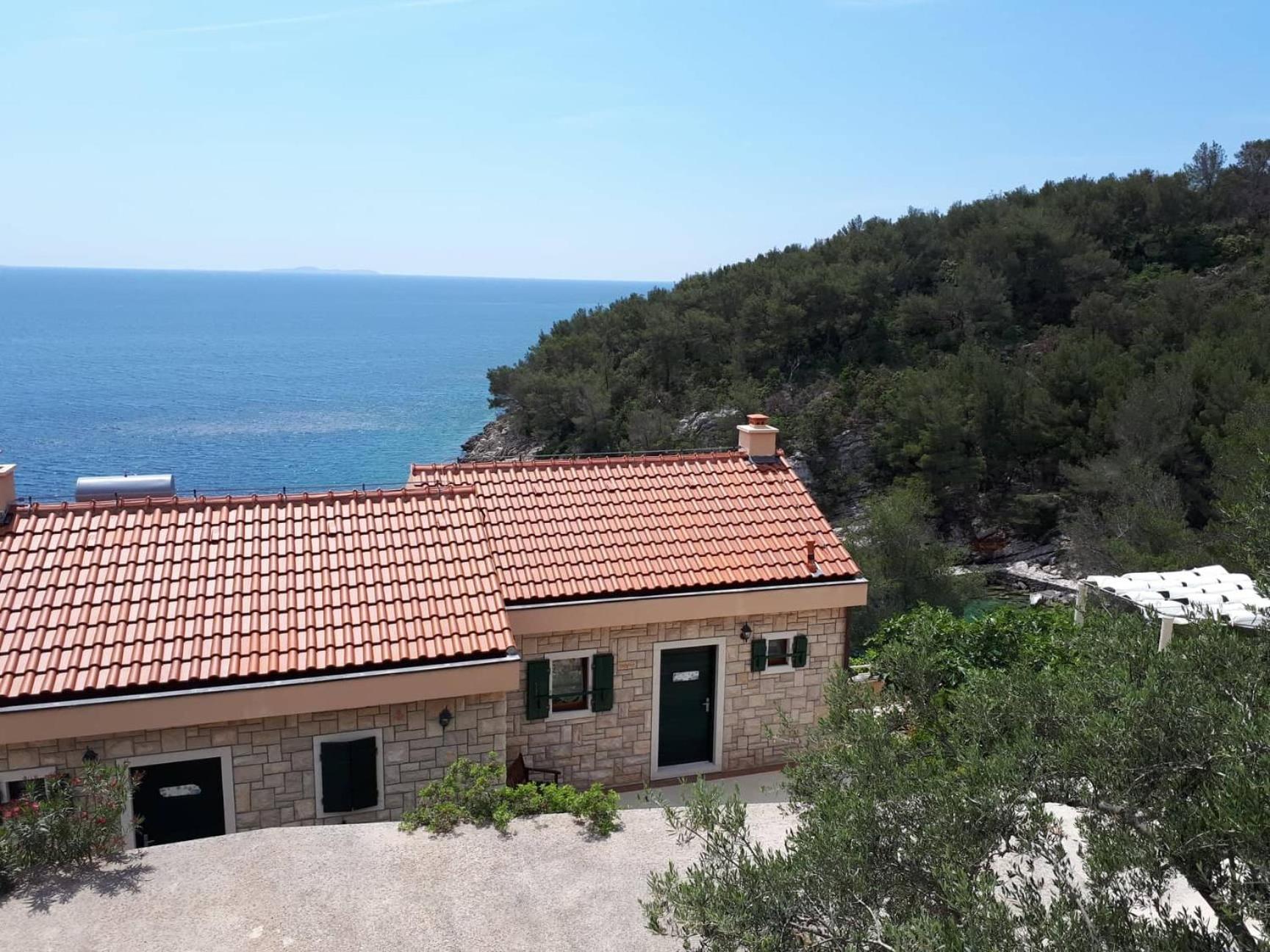 Apartment with Terrace photo 3