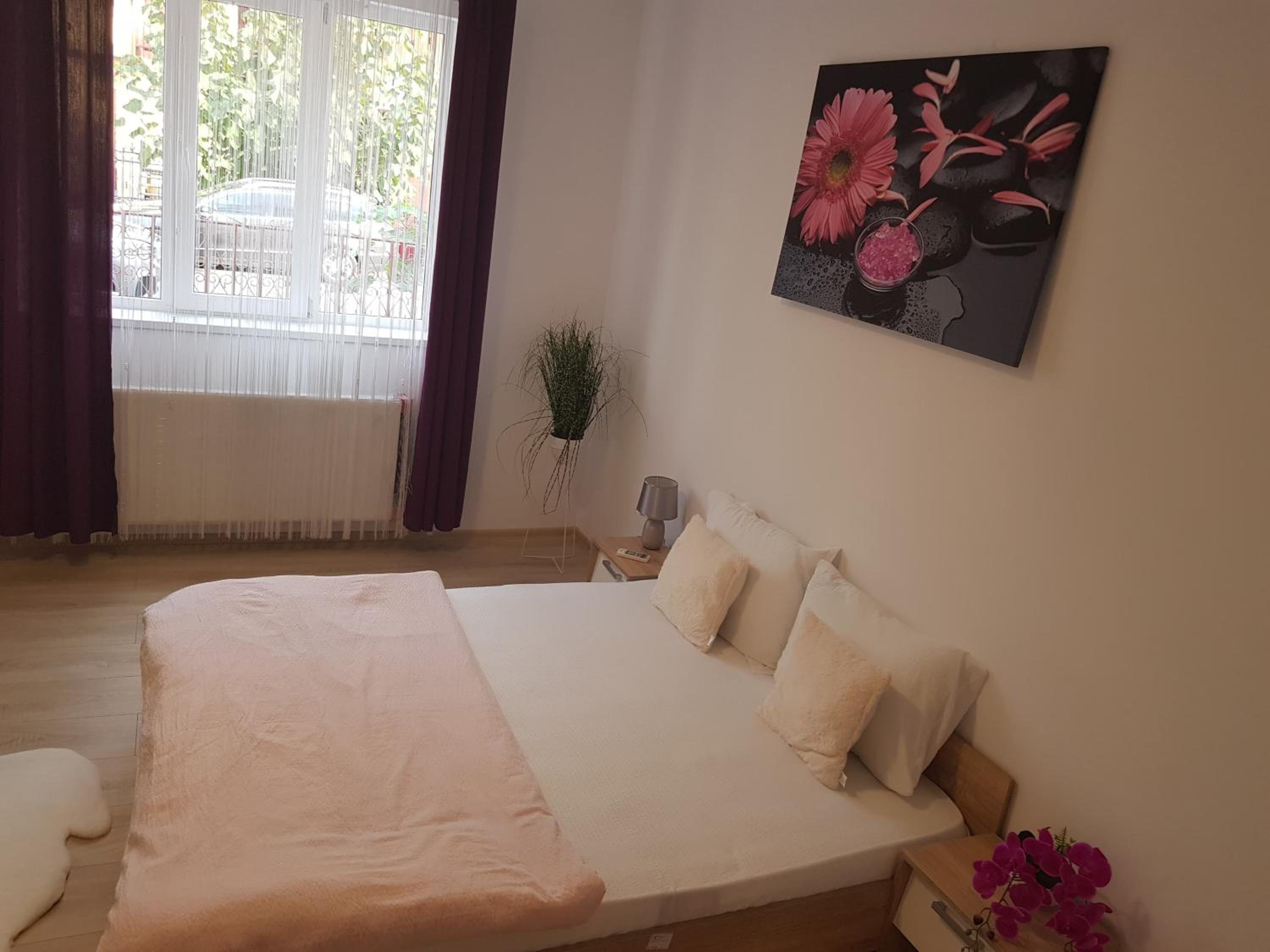 Apartment with Garden View photo 1