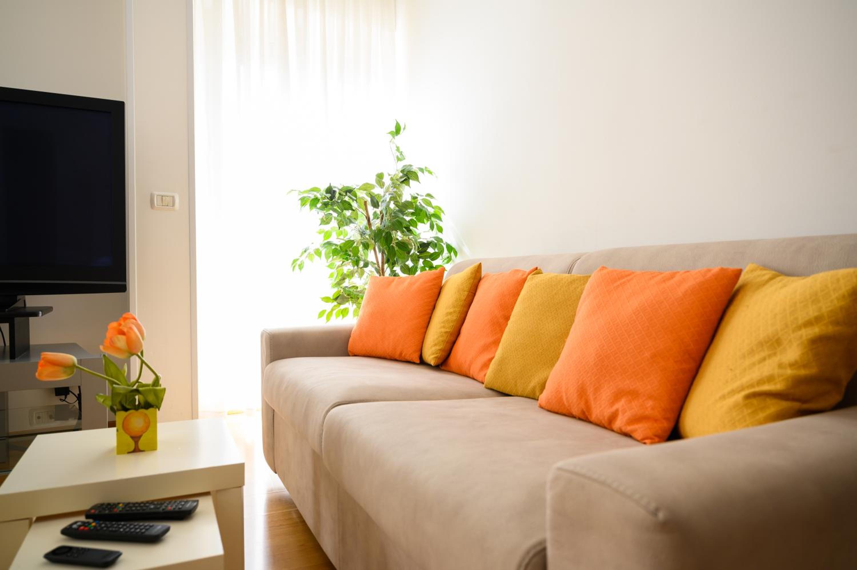 Apartment with Terrace photo 1