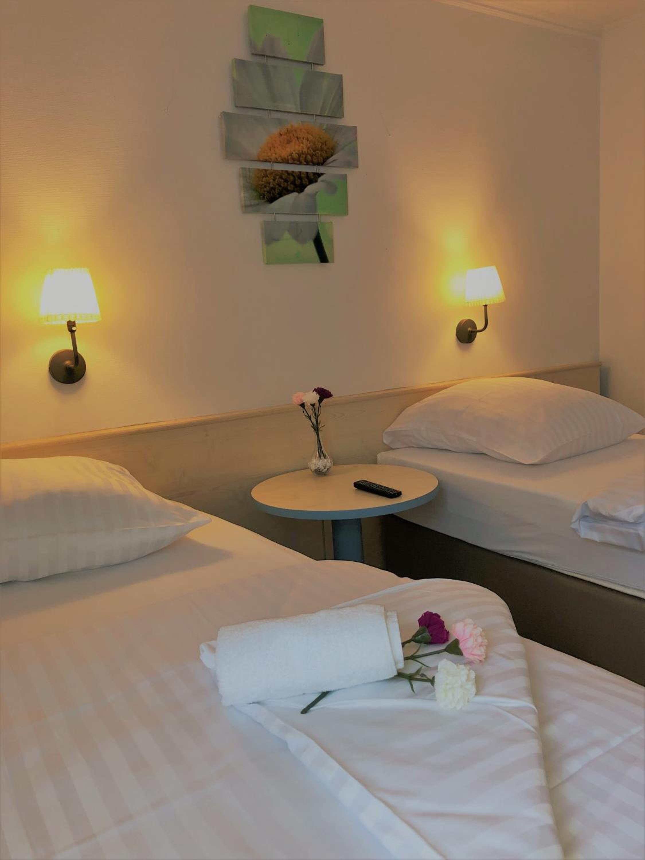 Double or Twin Room photo 2