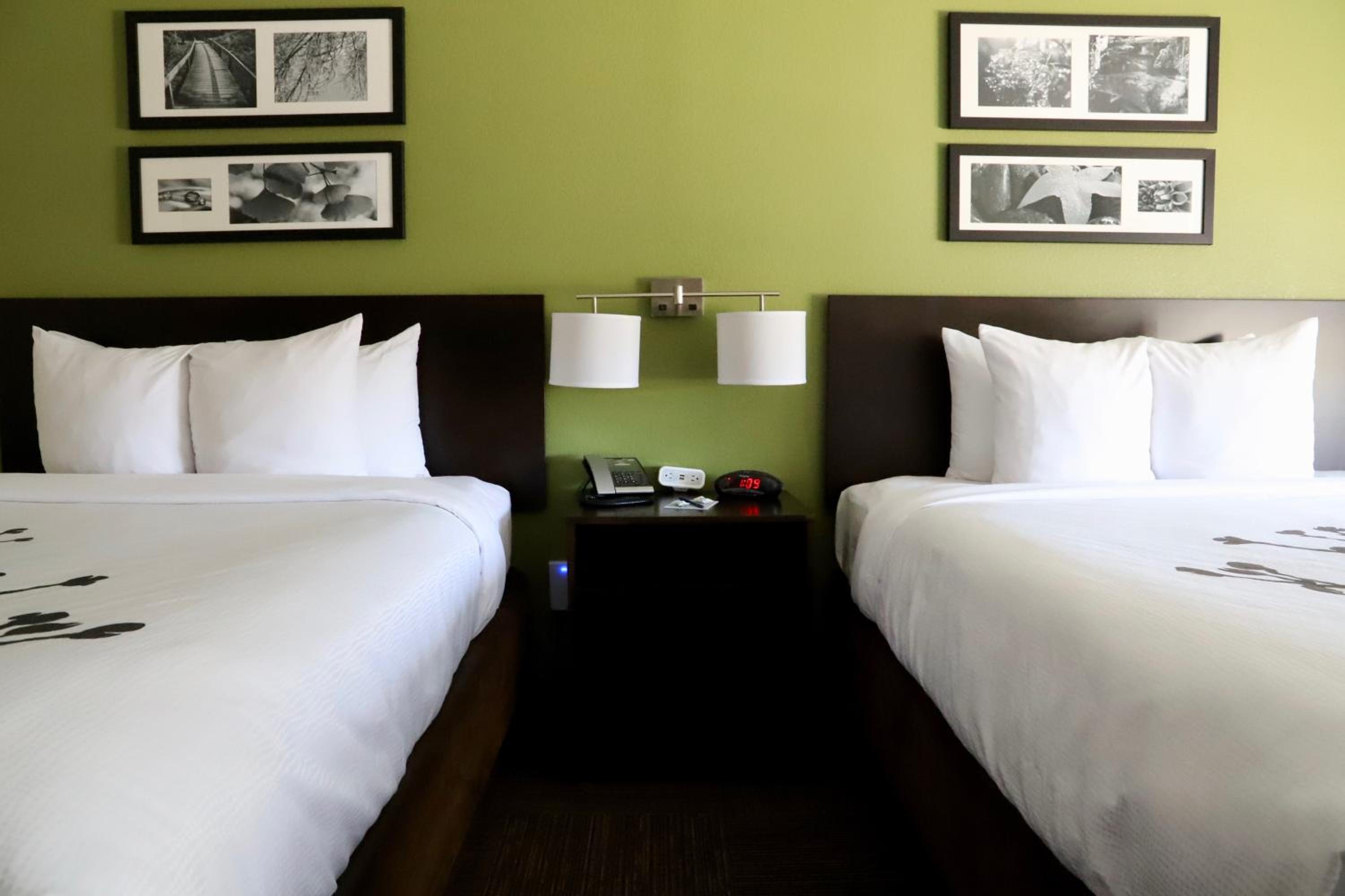 Queen Room with Two Queen Beds - Non-Smoking photo 3