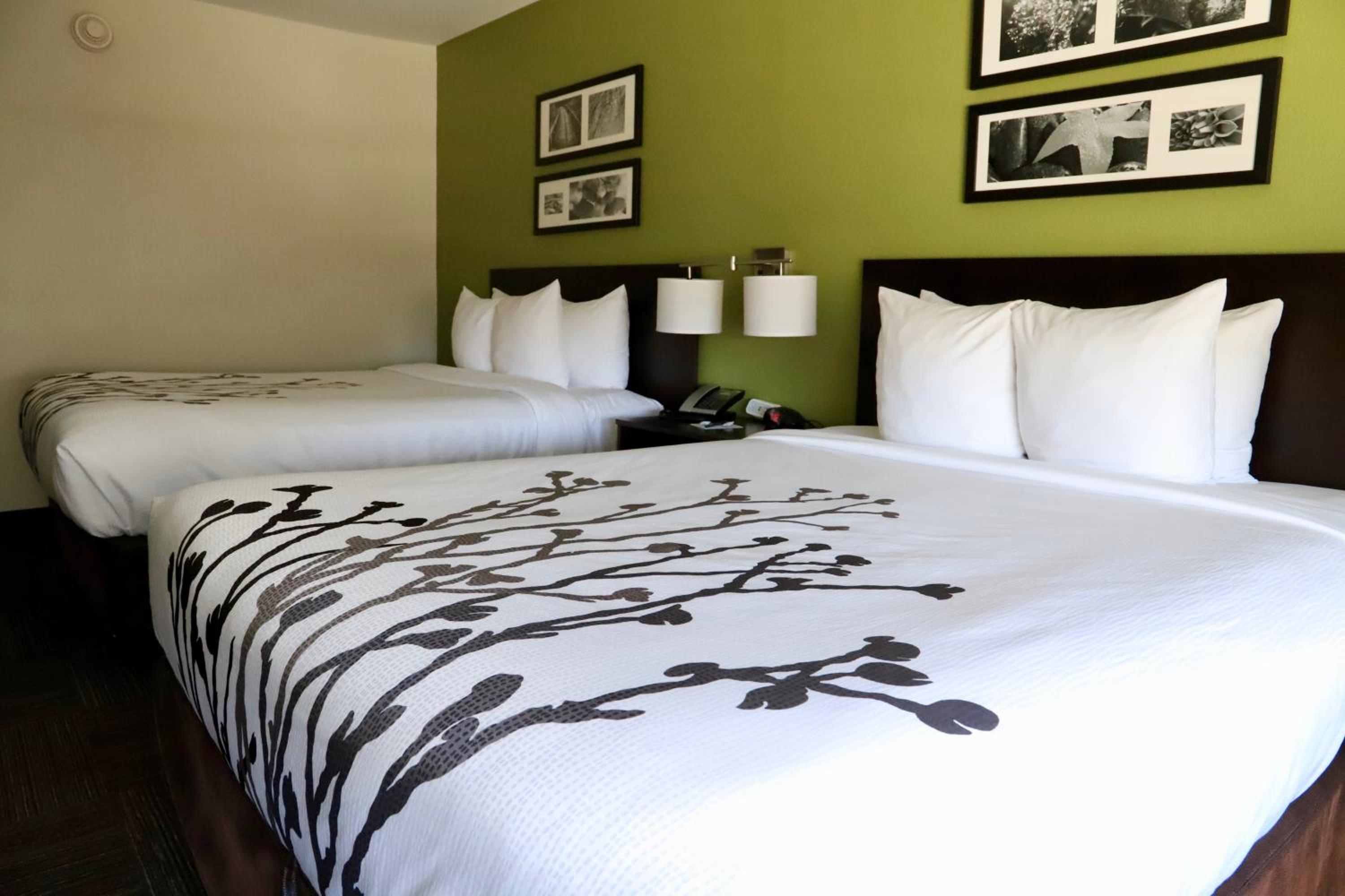 Queen Room with Two Queen Beds - Non-Smoking photo 1