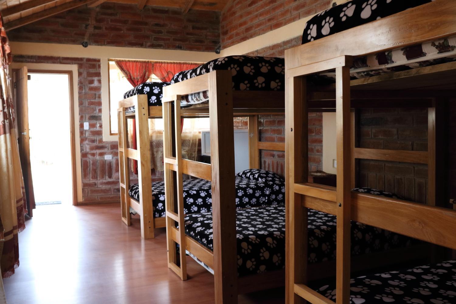 Bed in 6-Bed Dormitory Room photo 1