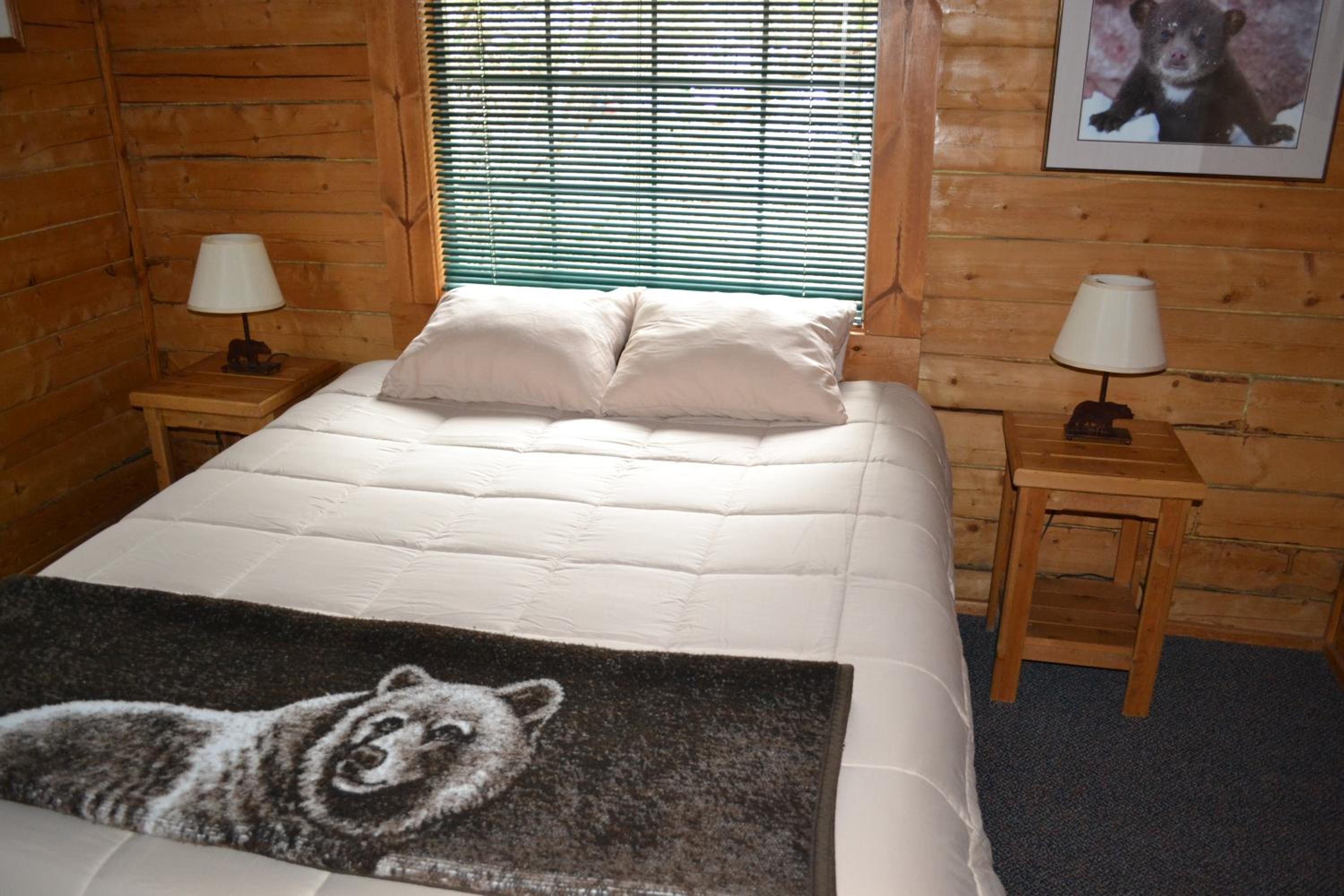 The Bear's Den Cabin