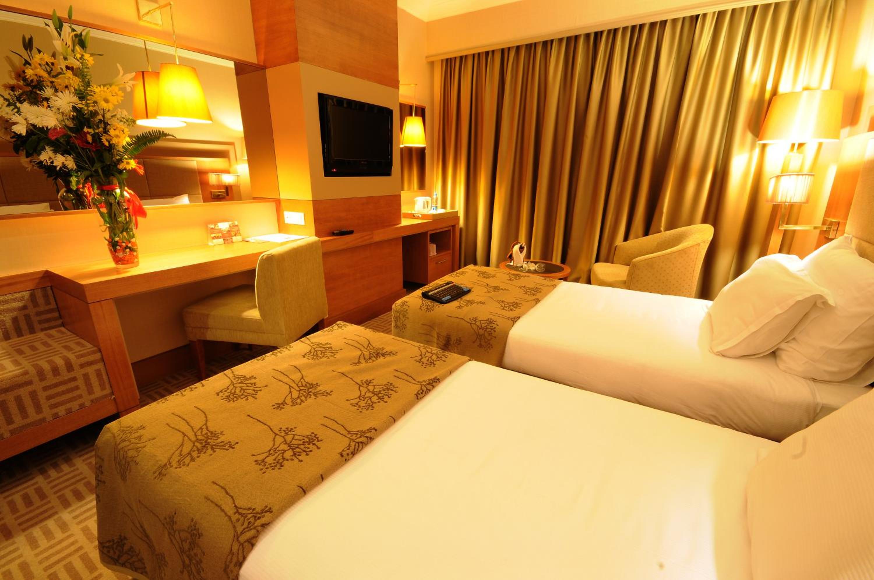 Single Room photo 3