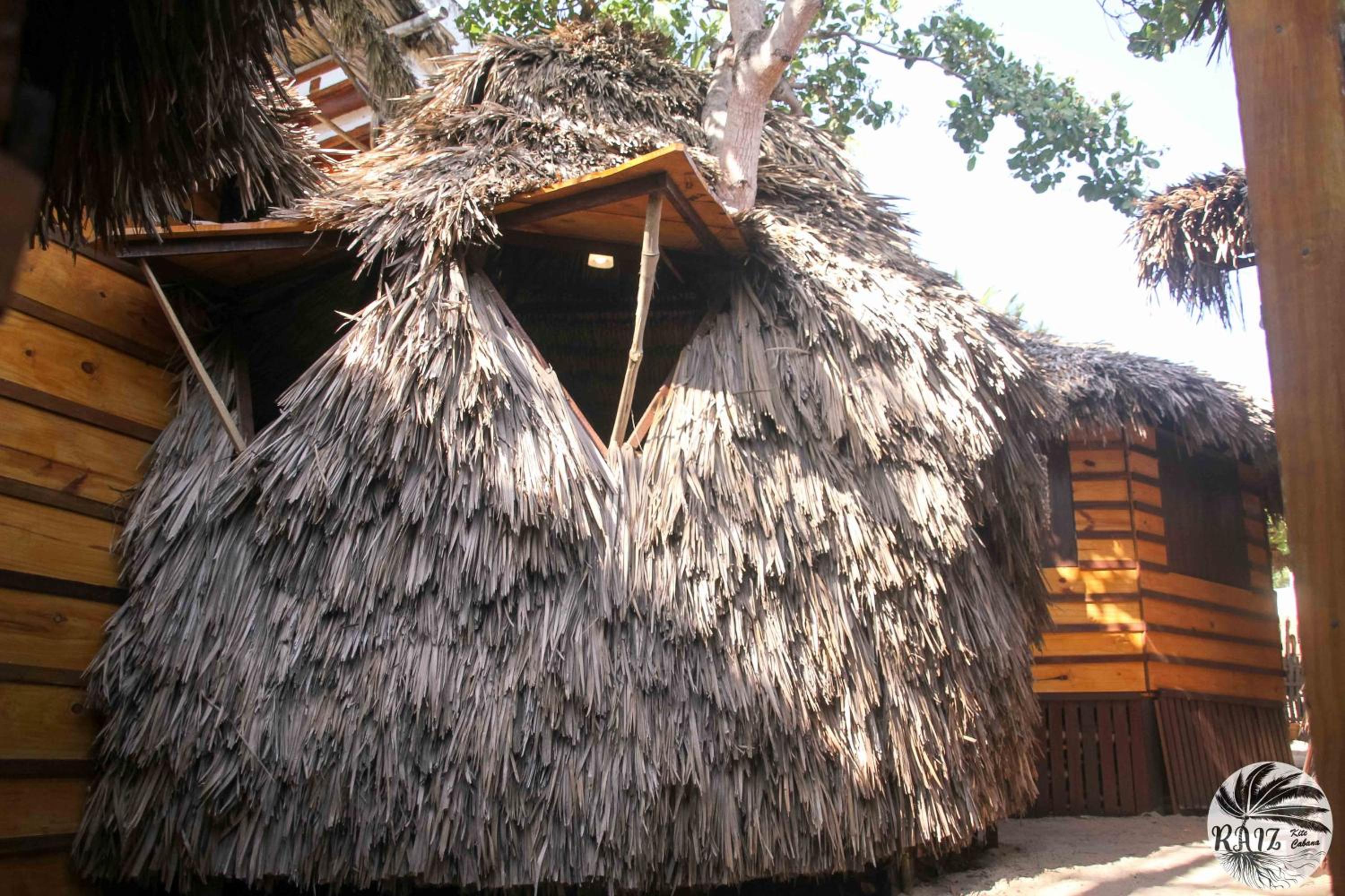 Superior Bungalow - Photo 7