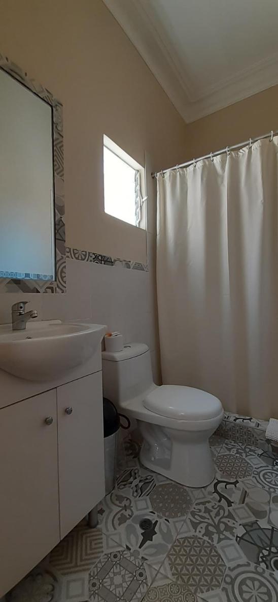 Large Single Room photo 2