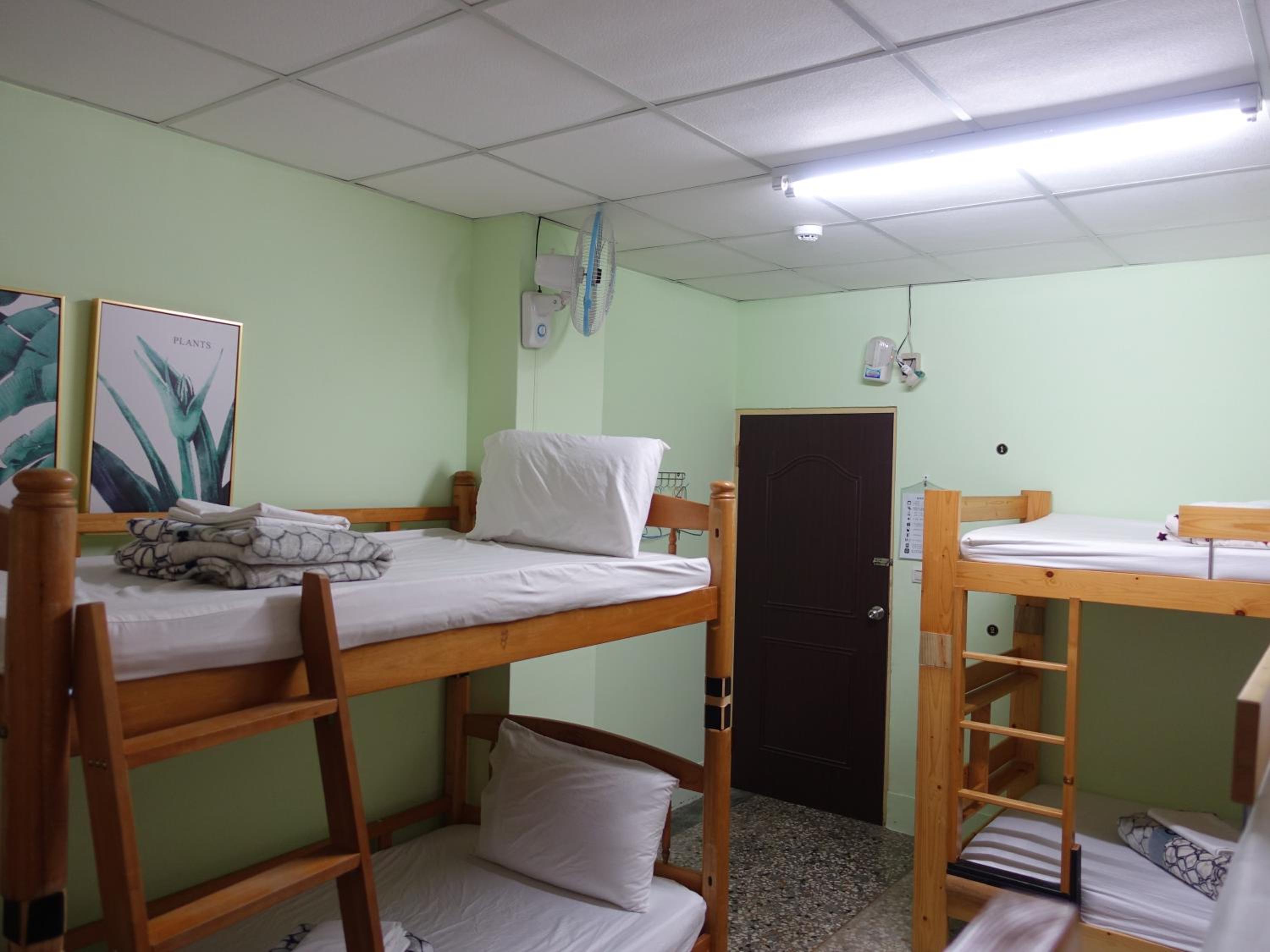 Bunk Bed in Mixed Dormitory Room photo 1