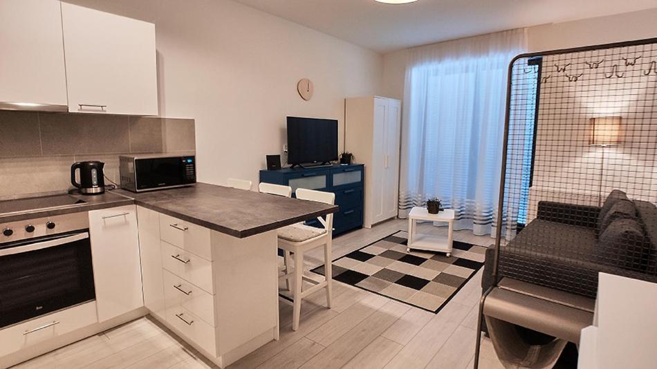 Studio Apartment photo 1