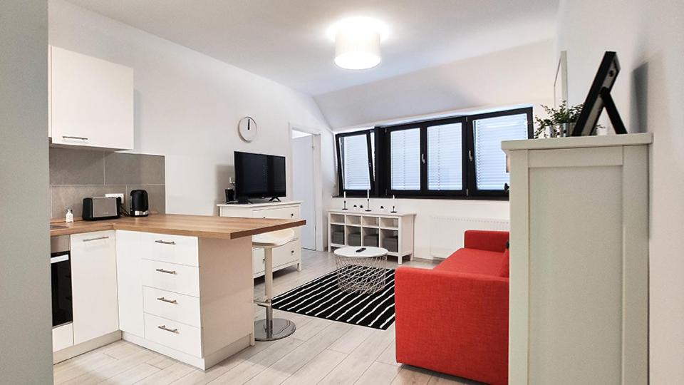 One-Bedroom Apartment photo 2