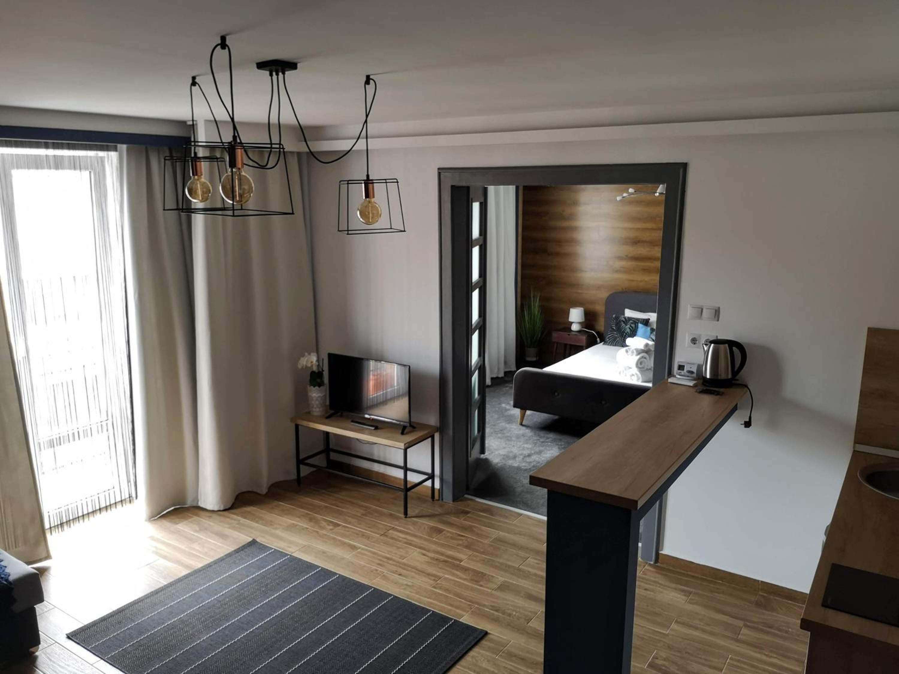 Deluxe One-Bedroom Apartment