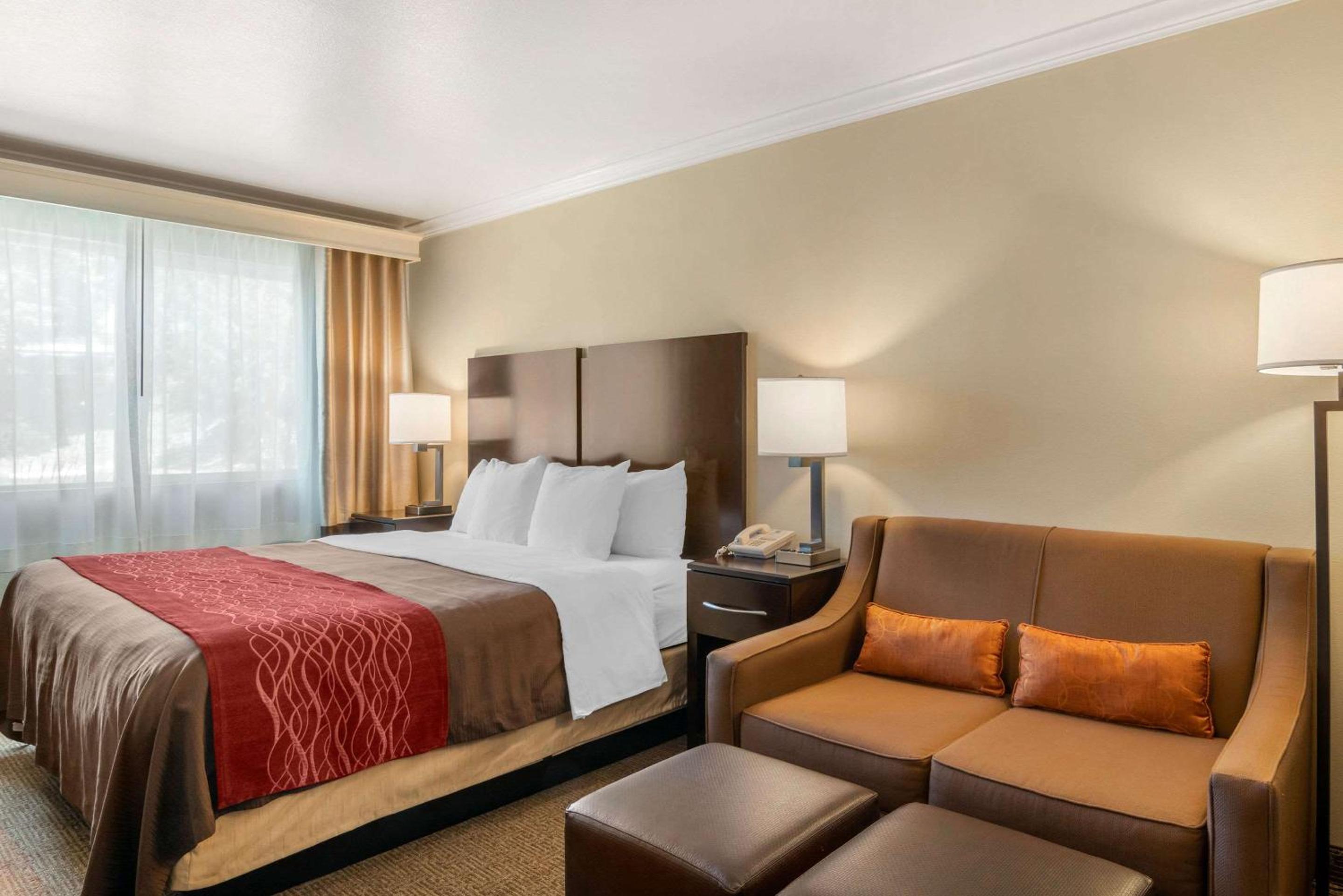 King Suite - Photo 2