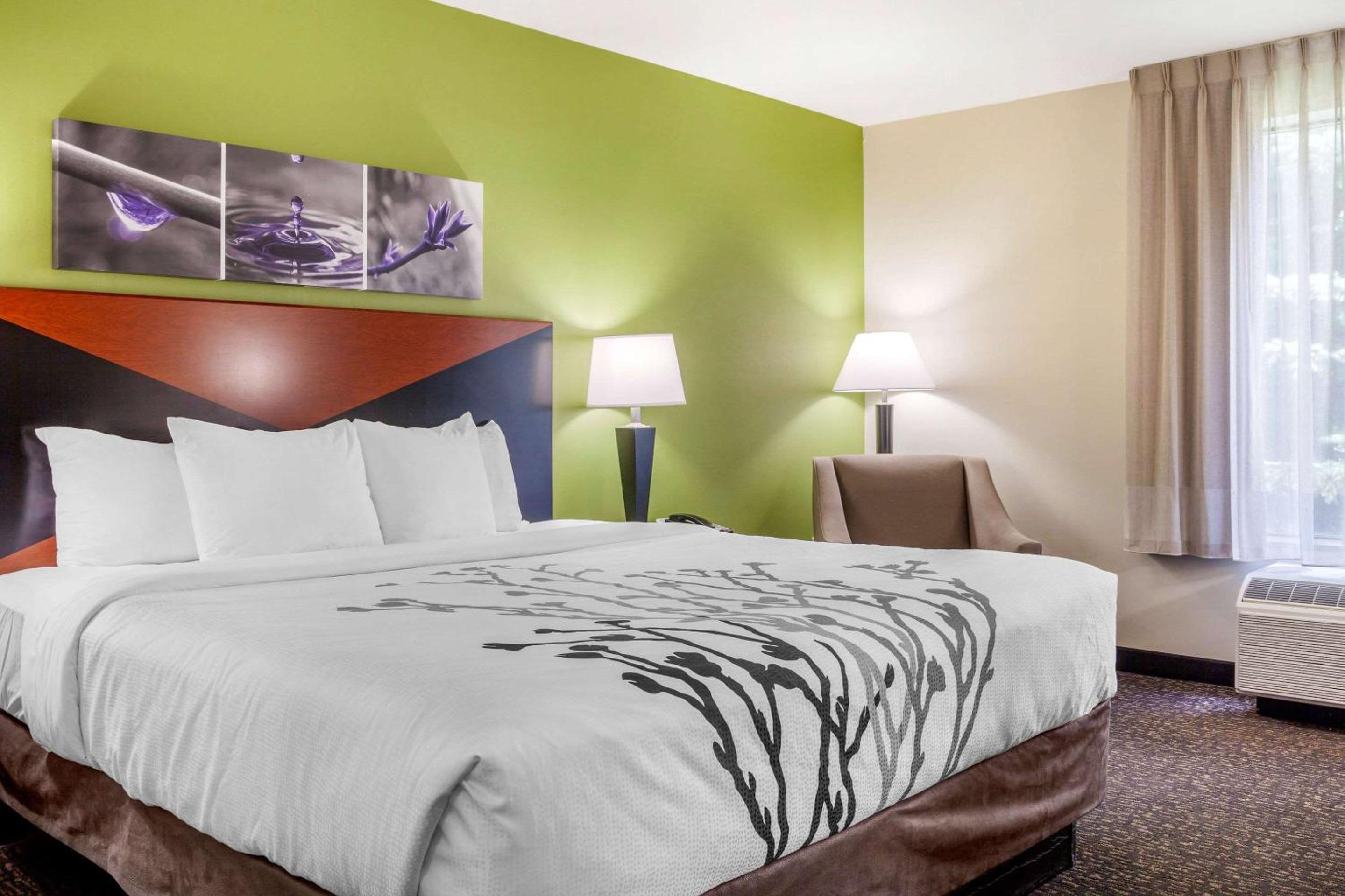 King Room - Non-Smoking - Photo 1