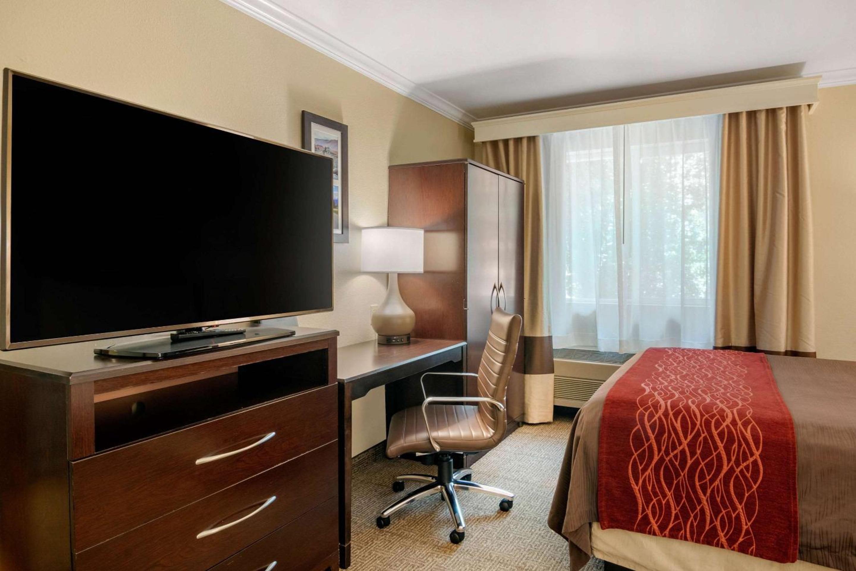 Queen Room - Non-Smoking - Photo 6