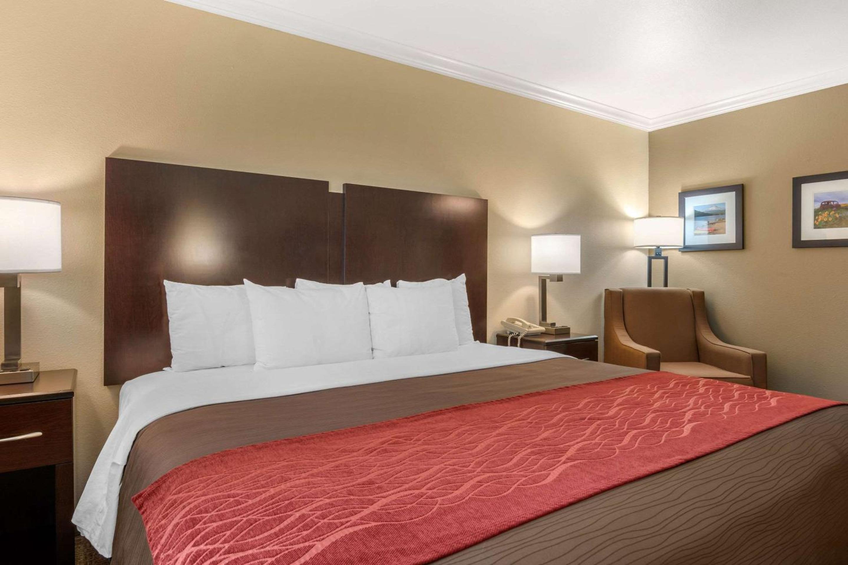 King Room - Non-Smoking - Photo 2