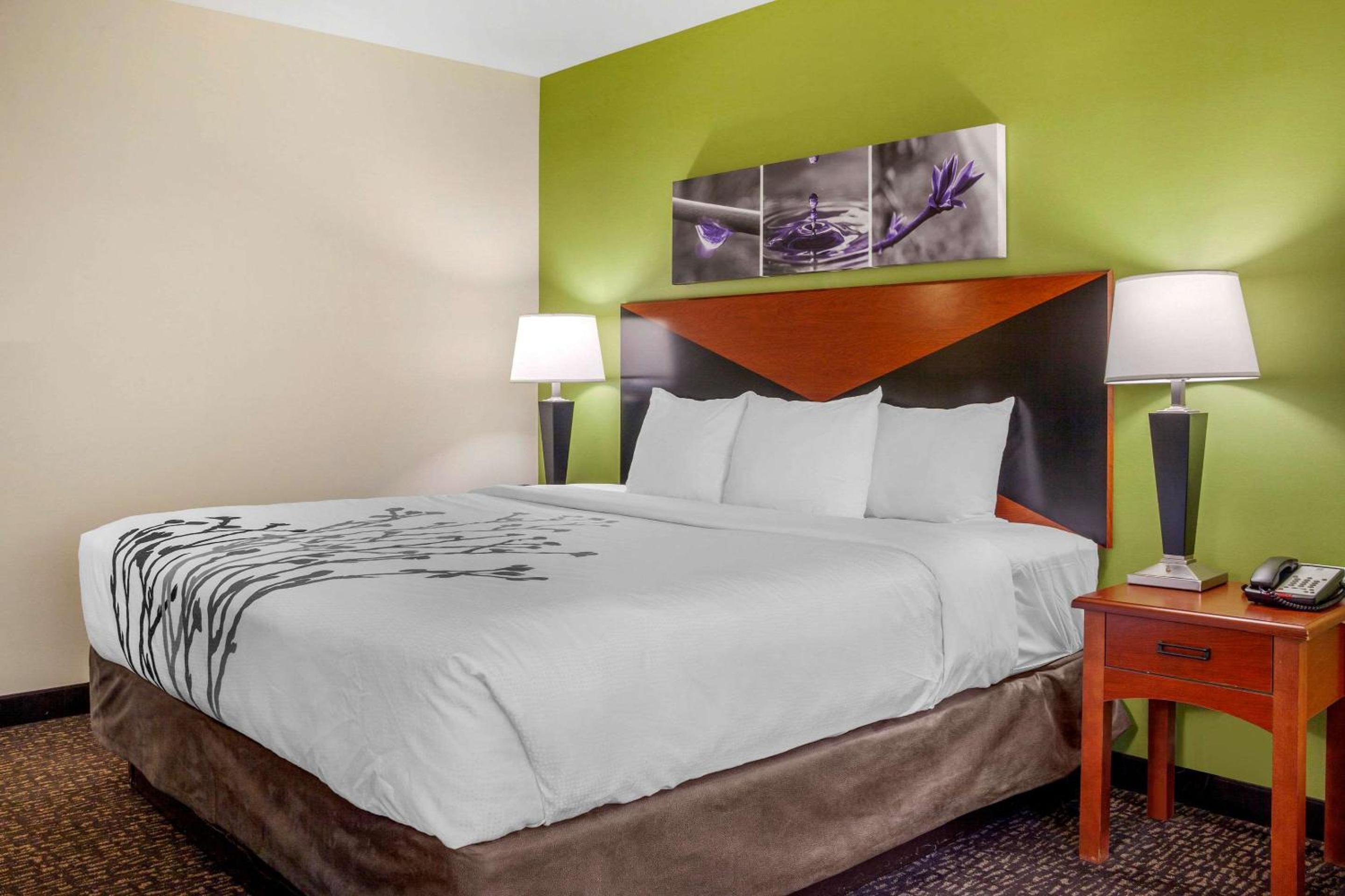 King Room - Non-Smoking - Photo 5