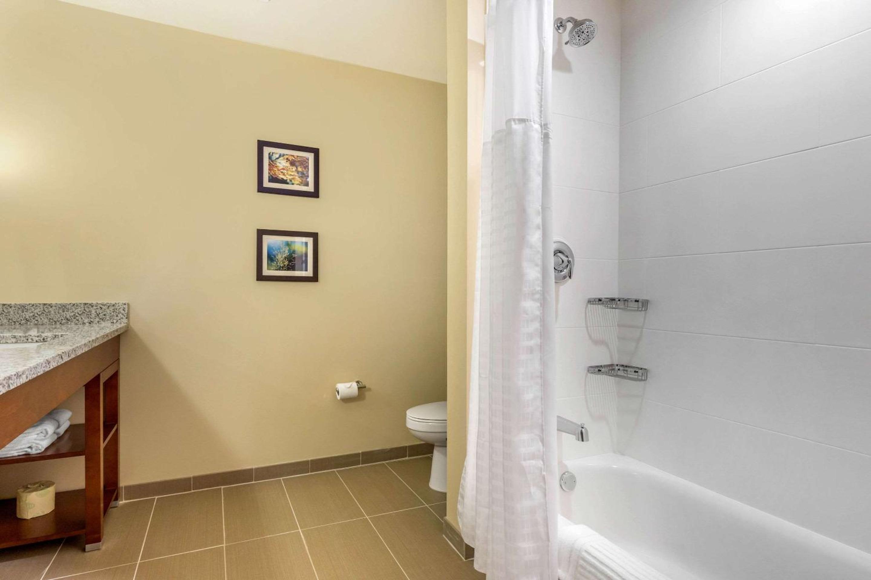 King Suite - Accessible/Non-Smoking - Photo 1